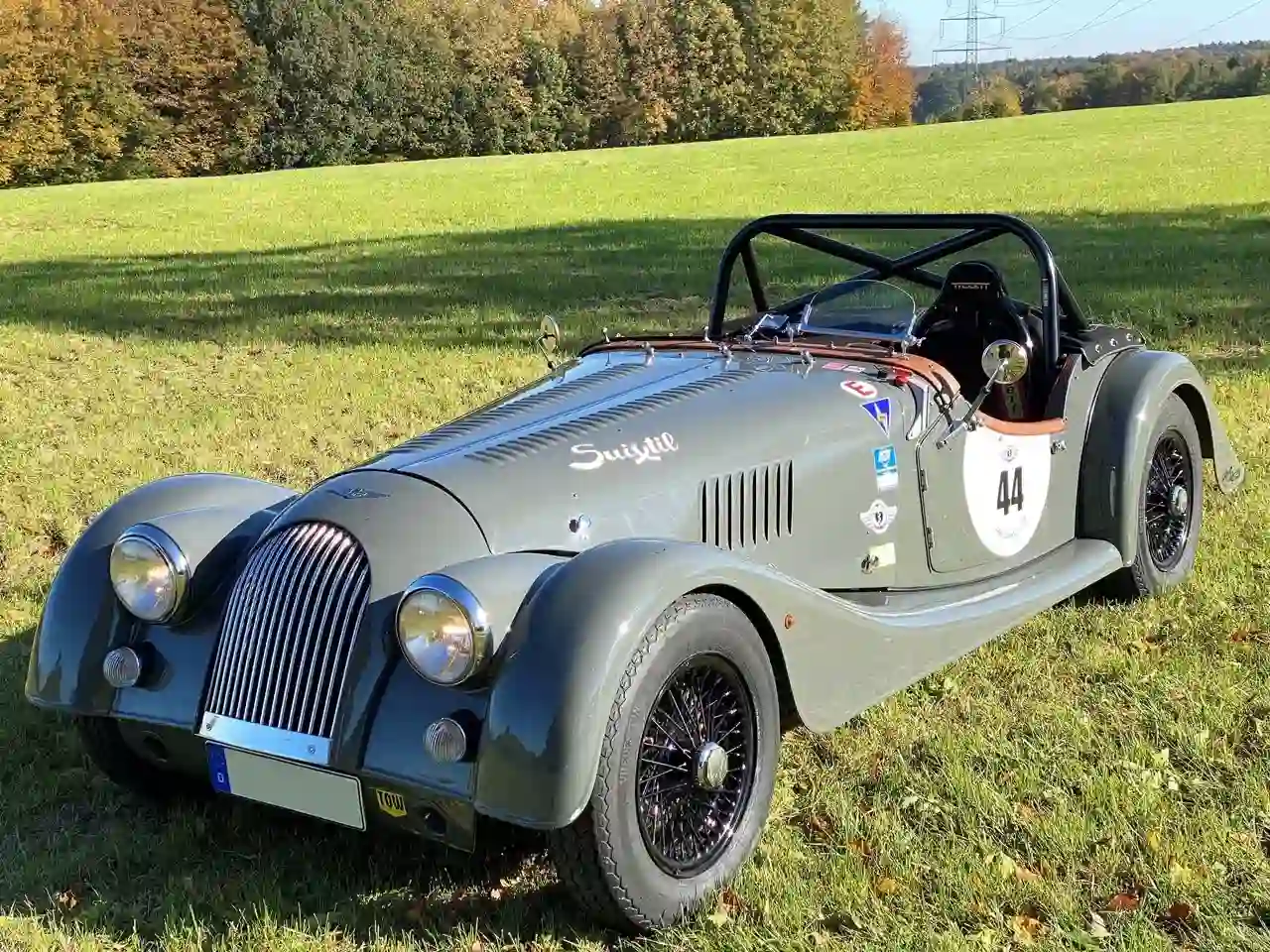 Grauer Roadster-Oldtimer mit Startnummer 44 steht auf einer Wiese.
