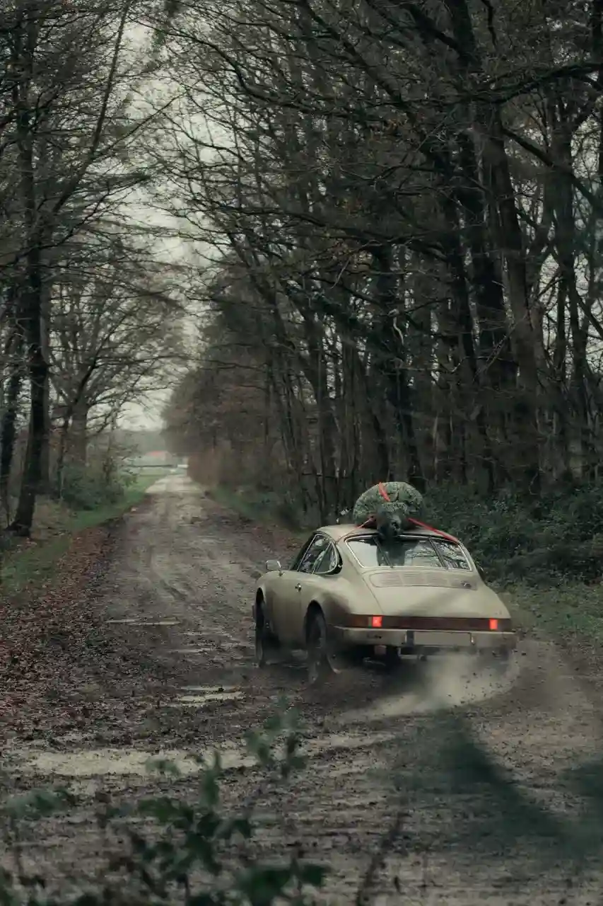 Klassischer Porsche 911 fährt über einen schlammigen Waldweg, Tannenbaum auf dem Dachträger.