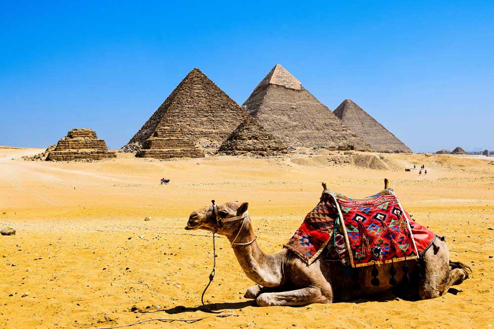 A saddled camel kneels in desert sand. In the distance behind it are the ruins of Egyptian pyramids.