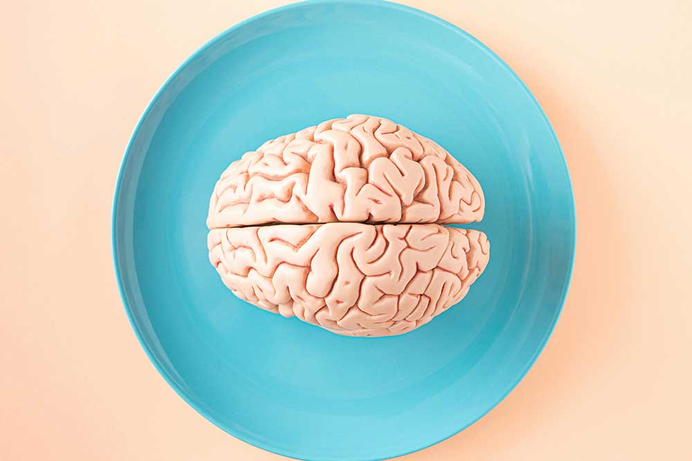 Overhead view of a model of a pink human brain on a plate.