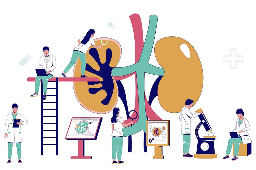Colorful illustration of six different doctors researching and working on an over-sized kidney model.