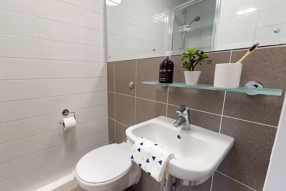 Bronze Ensuite - Bathroom