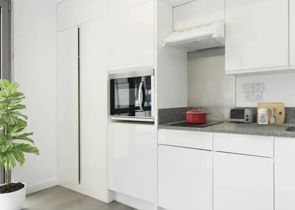 Silver Studio Standard View Mid Level - Kitchen