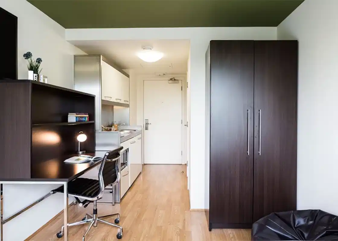 Silver Studio Street View Lower Level - Amenities