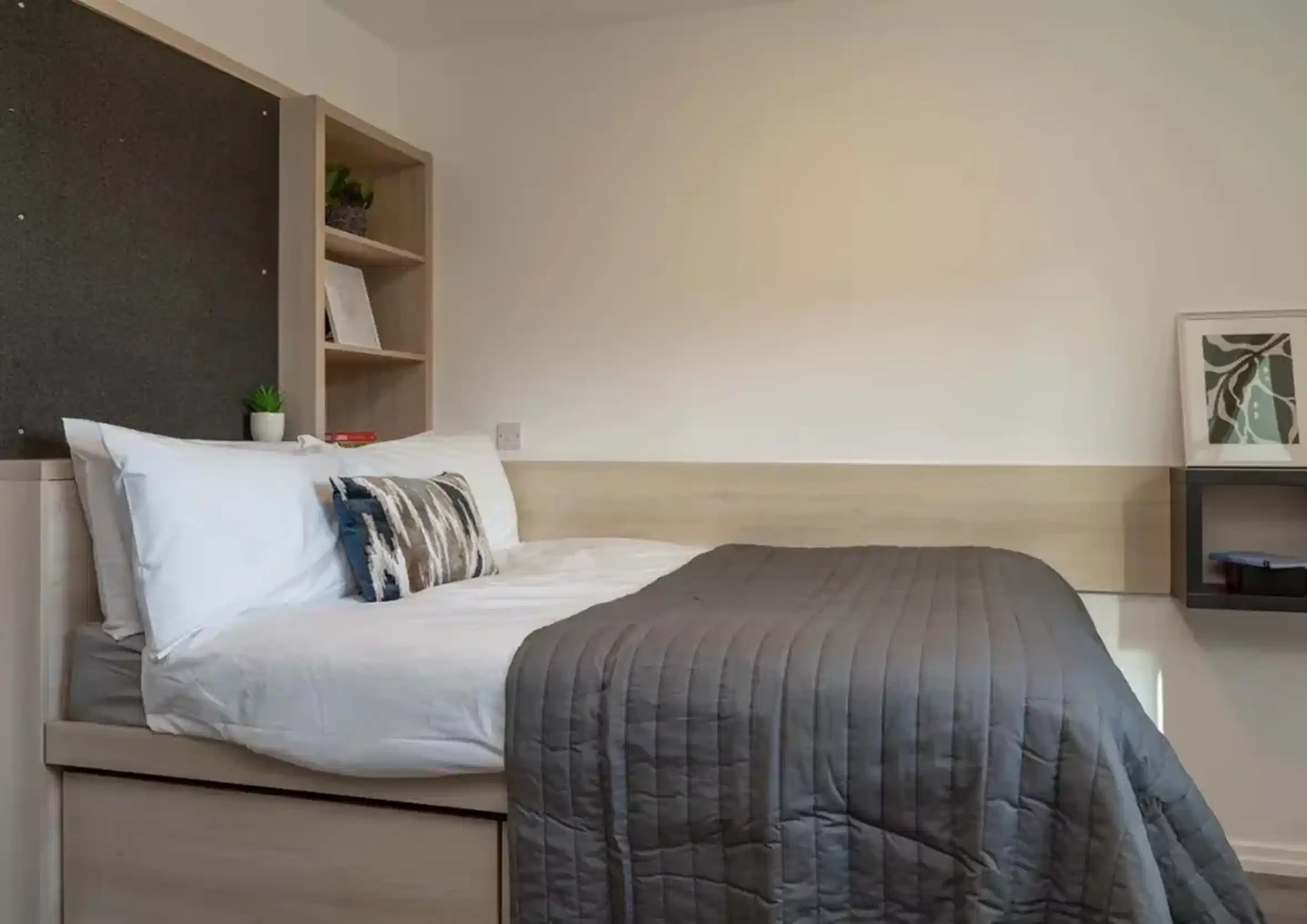 Bronze Studio Plus - Bedroom