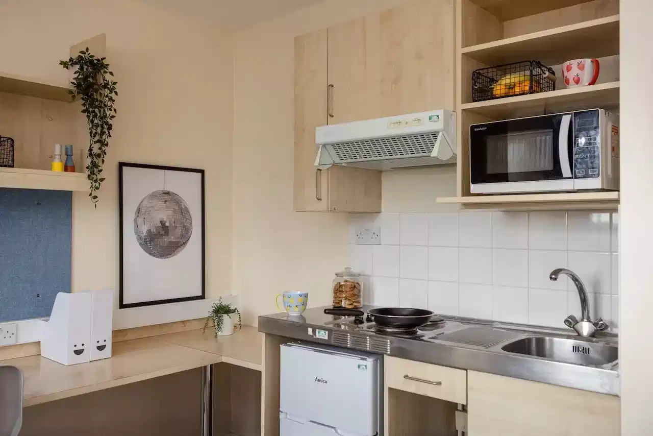 Gold Studio - Kitchen