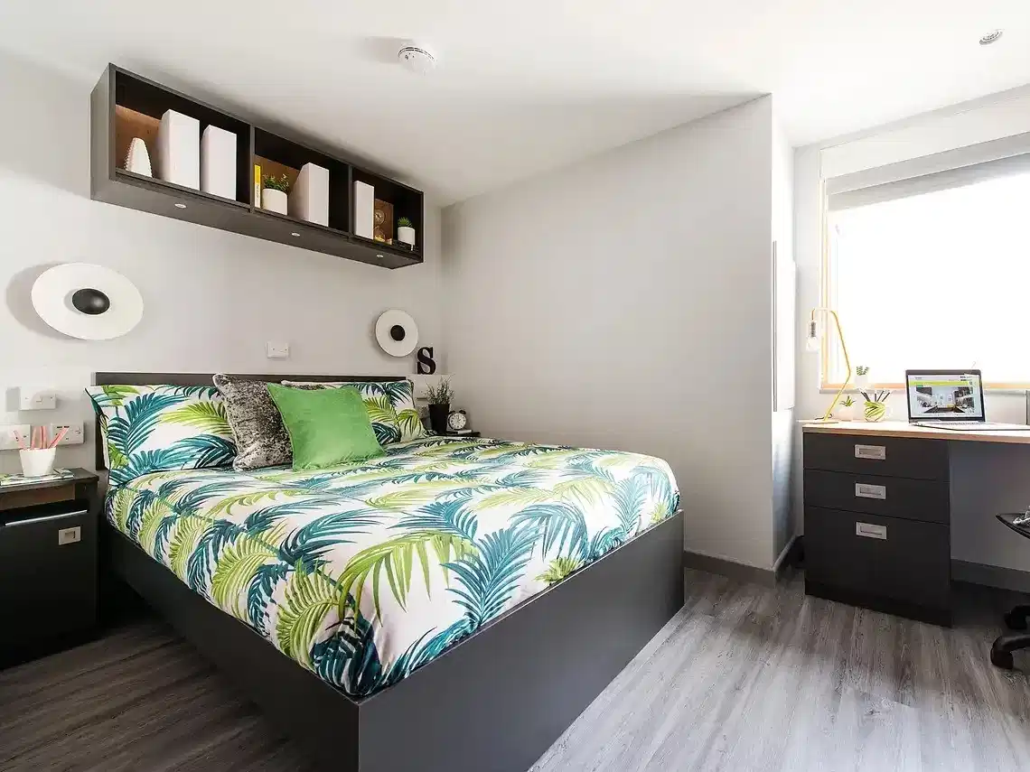 Deluxe Studio - Bedroom