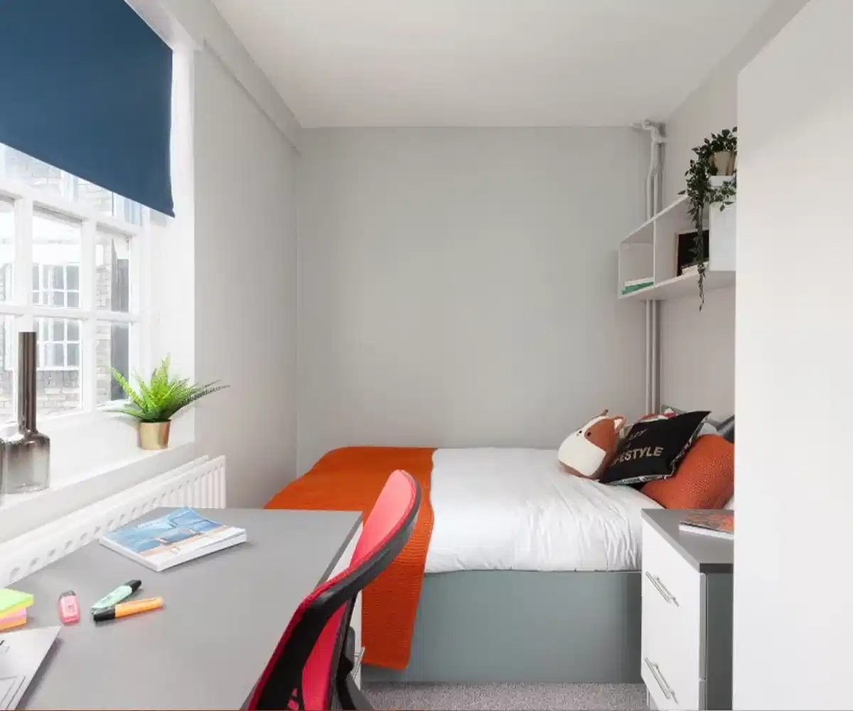 Standard Plus - Bedroom