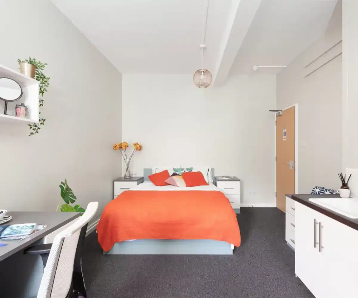Deluxe - Bedroom