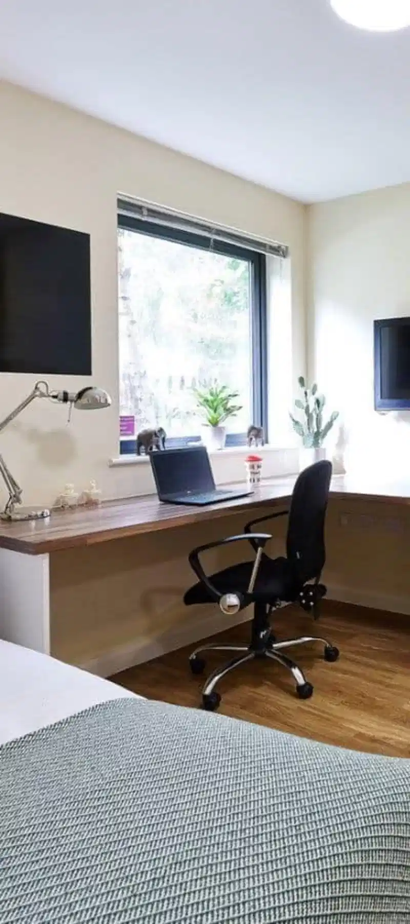 Classic Studio - Bedroom