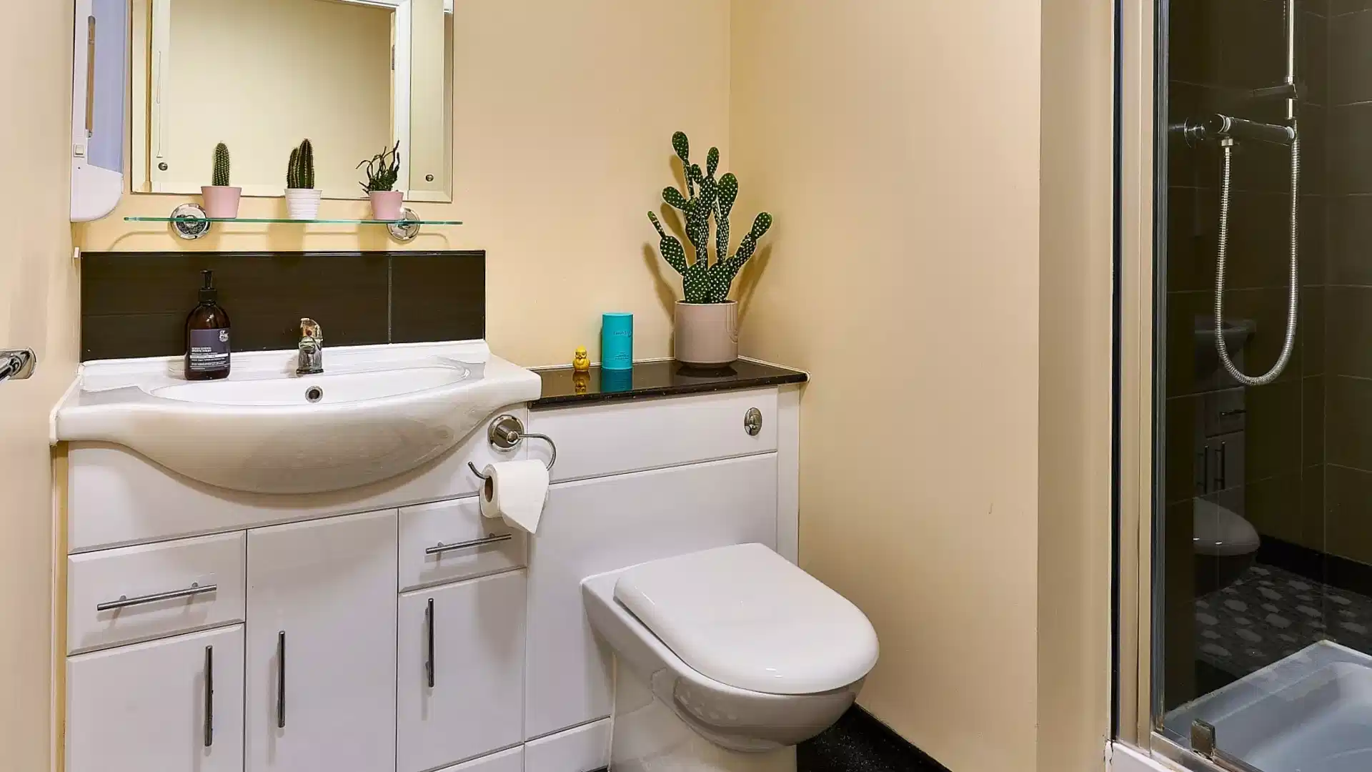 Premium Studio - Bathroom