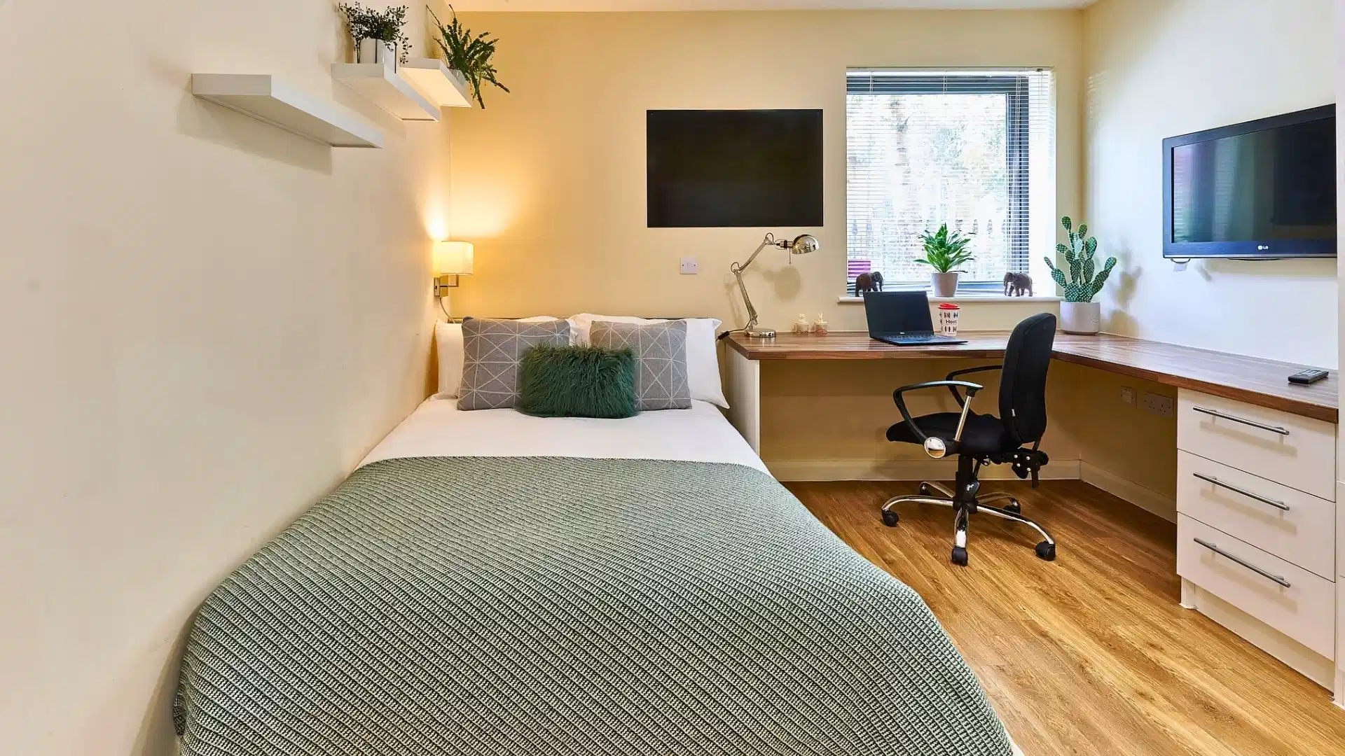 Premium Studio - Bedroom