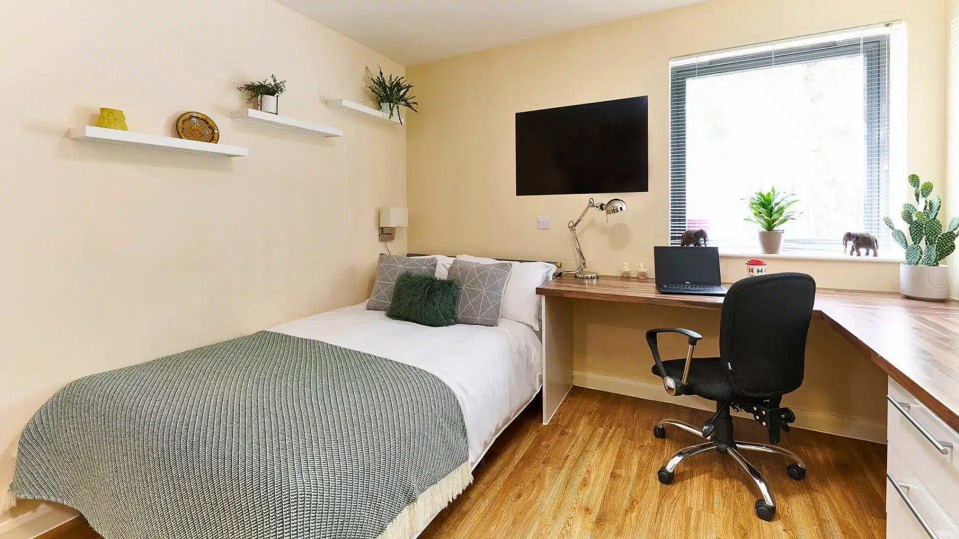 Premium Studio - Bedroom