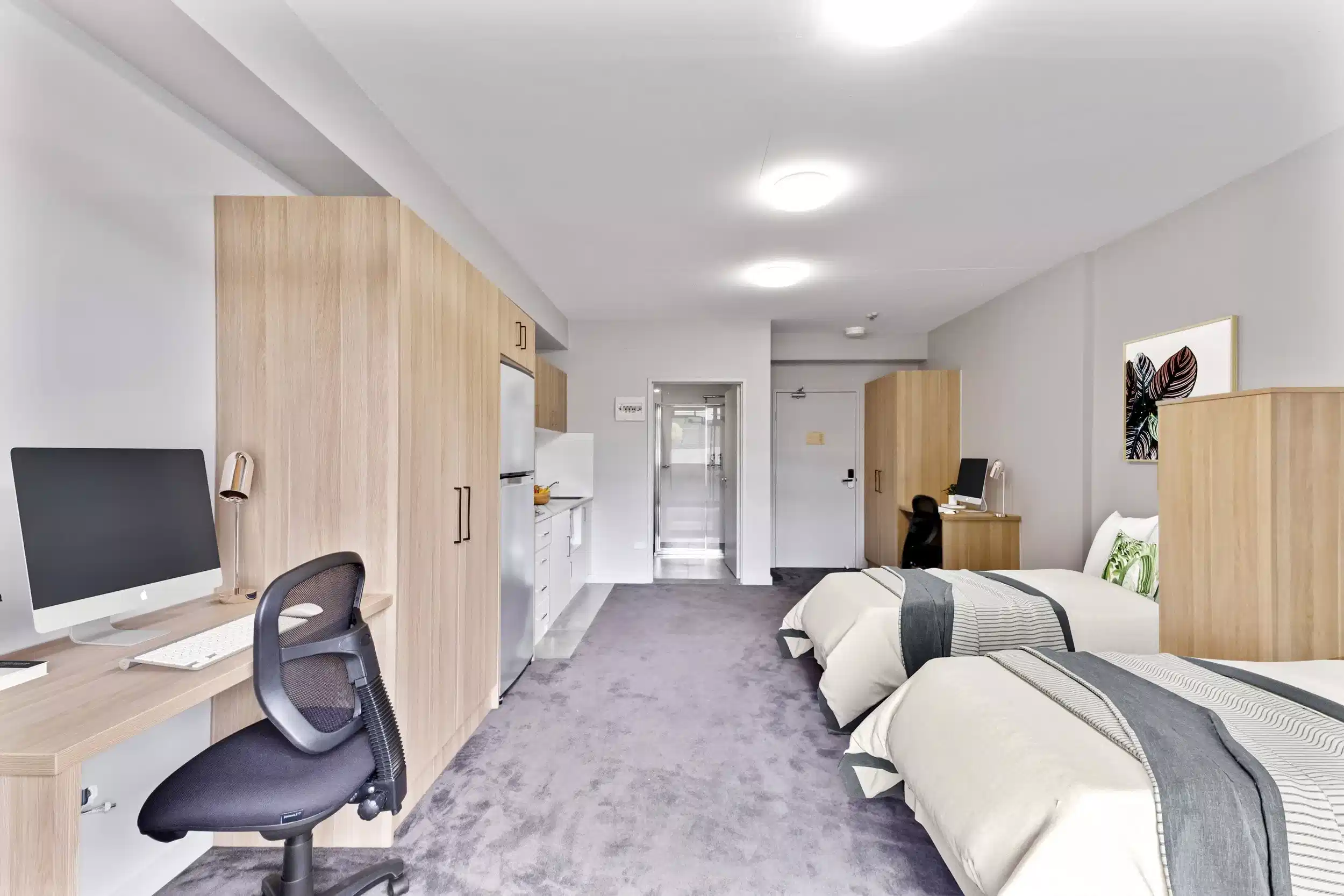 Deluxe Twin Share Studio - Bedroom