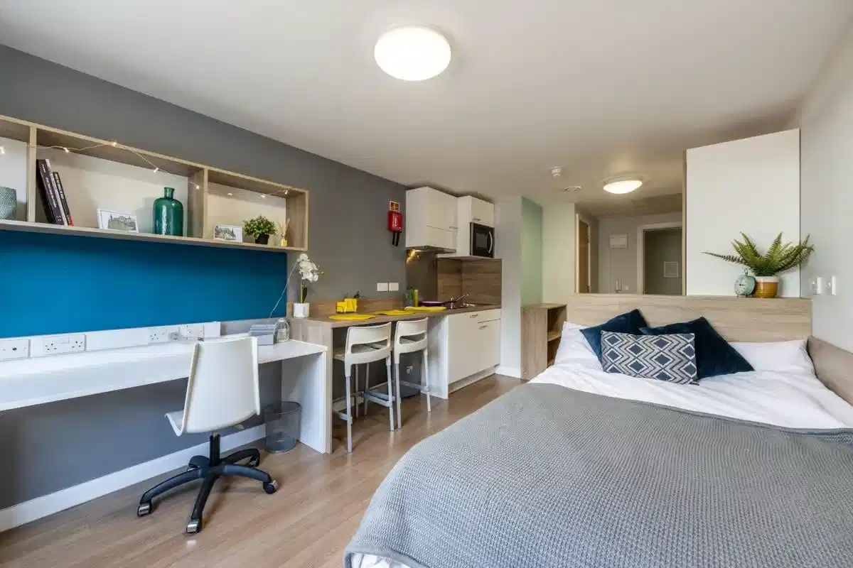 Large Studio - Bedroom