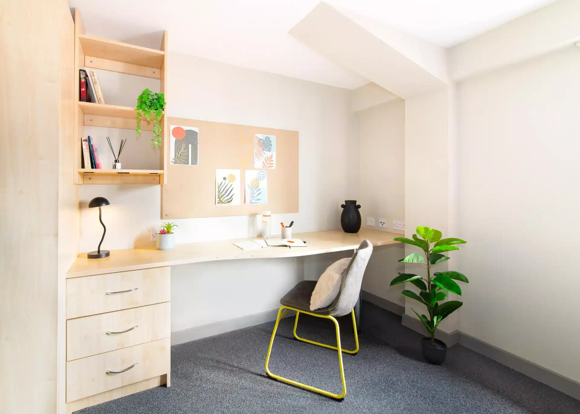Premium Plus Studio - Amenities
