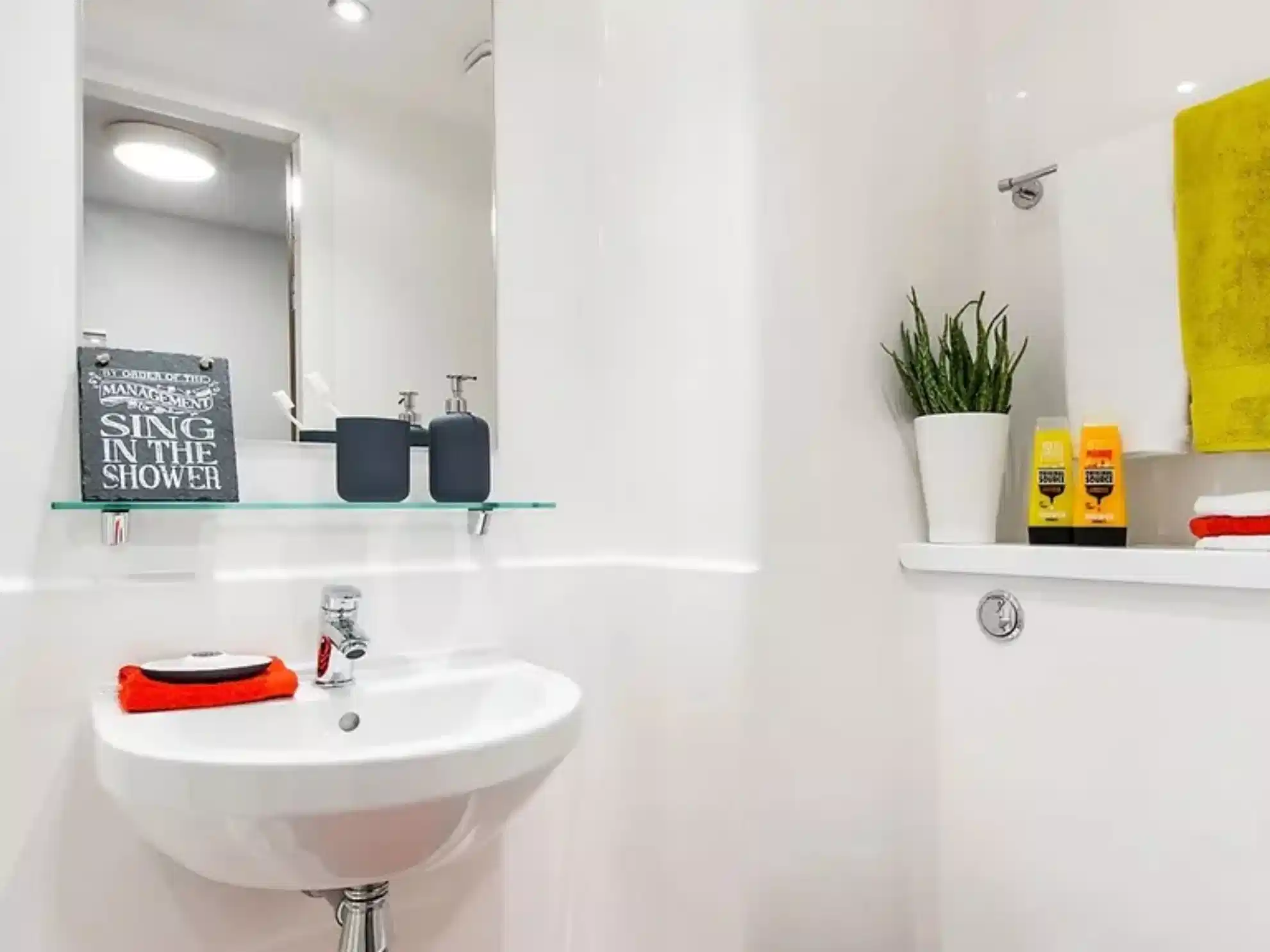 Standard Studio  - Bathroom