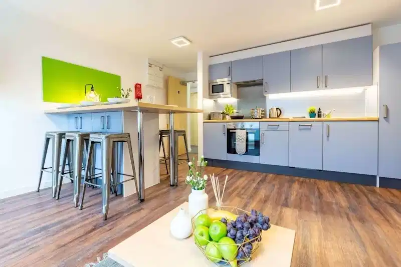 Regency Standard Large Ensuite - Kitchen