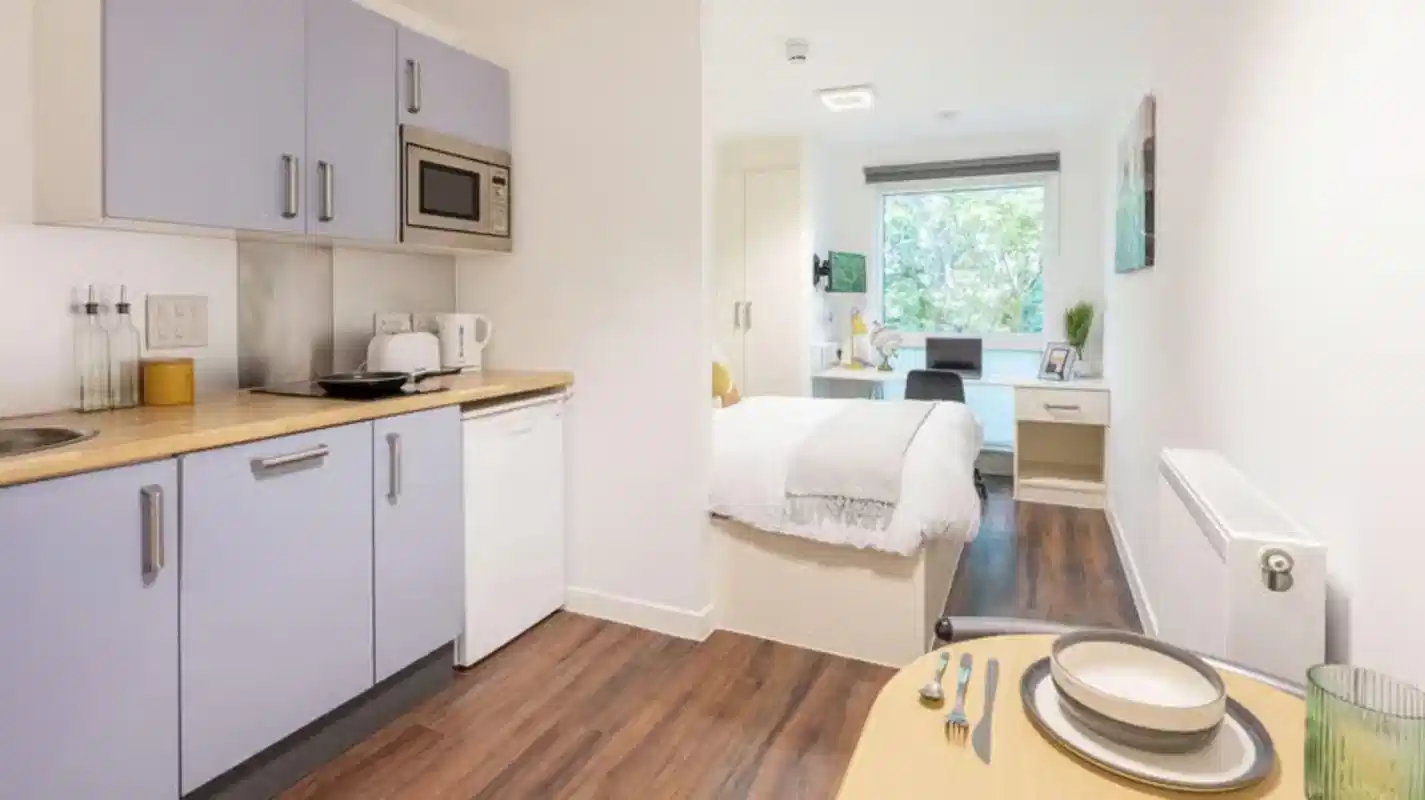 Deluxe Studio - Kitchen
