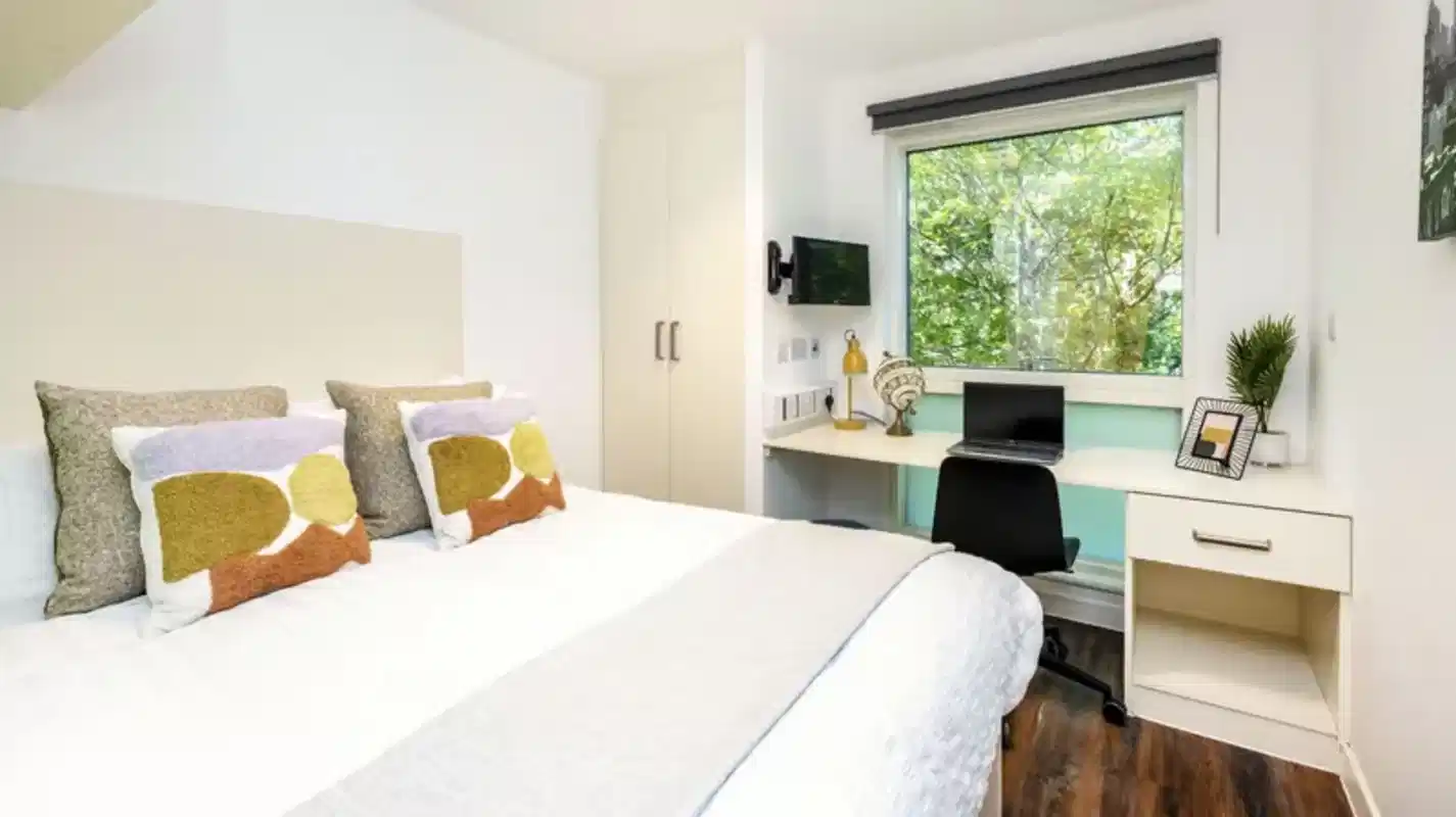 Deluxe Studio - Bedroom