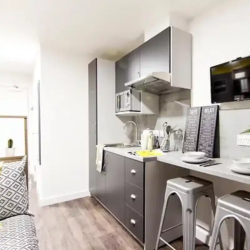 Deluxe Studio - Kitchen