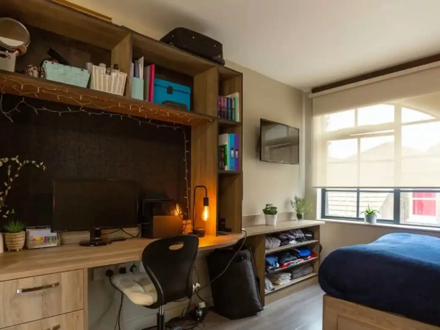 Large Studio Plus - Bedroom