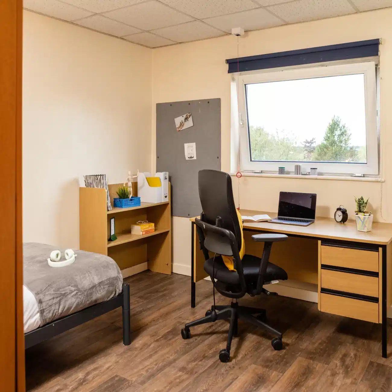Bronze Accessible room - Bedroom