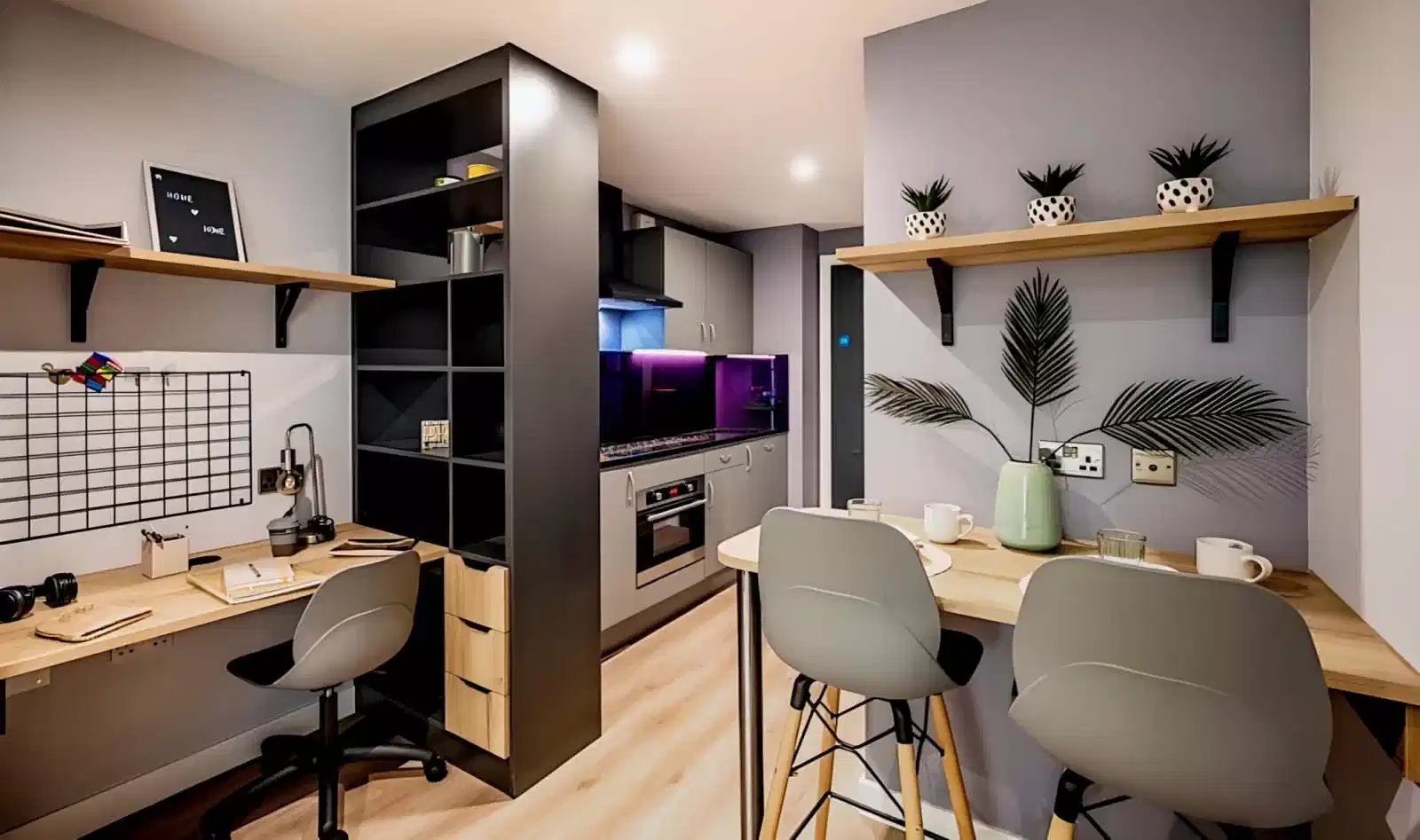 Deluxe Studio - Kitchen