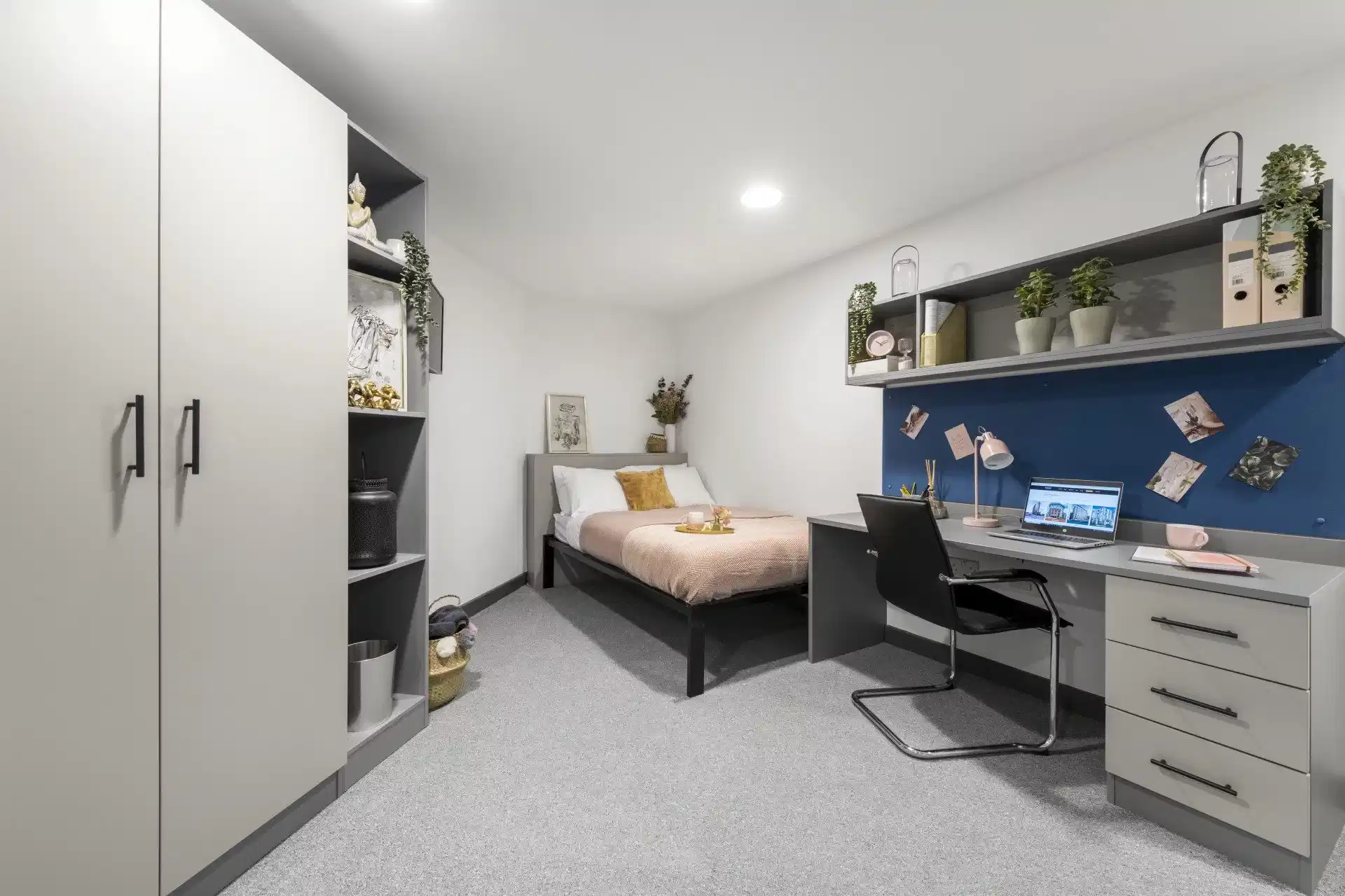 Gold Studio Plus - Bedroom