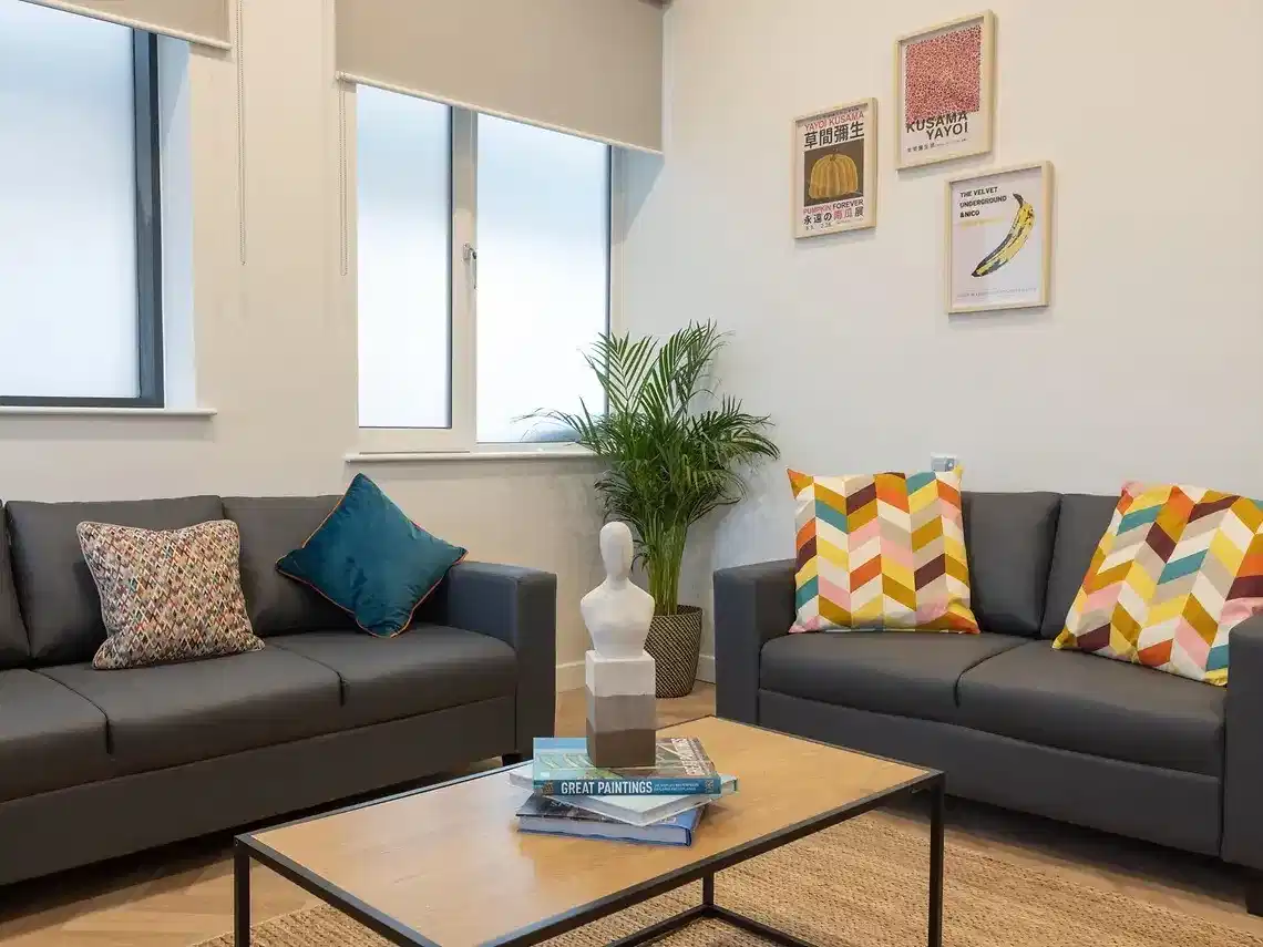 Standard Ensuite - Common Area