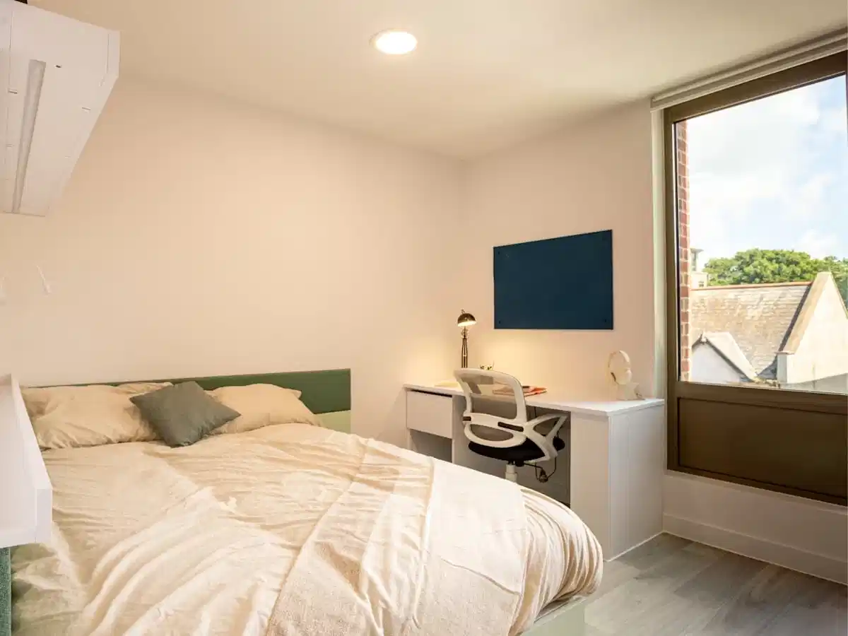 Superior Studio - Bedroom