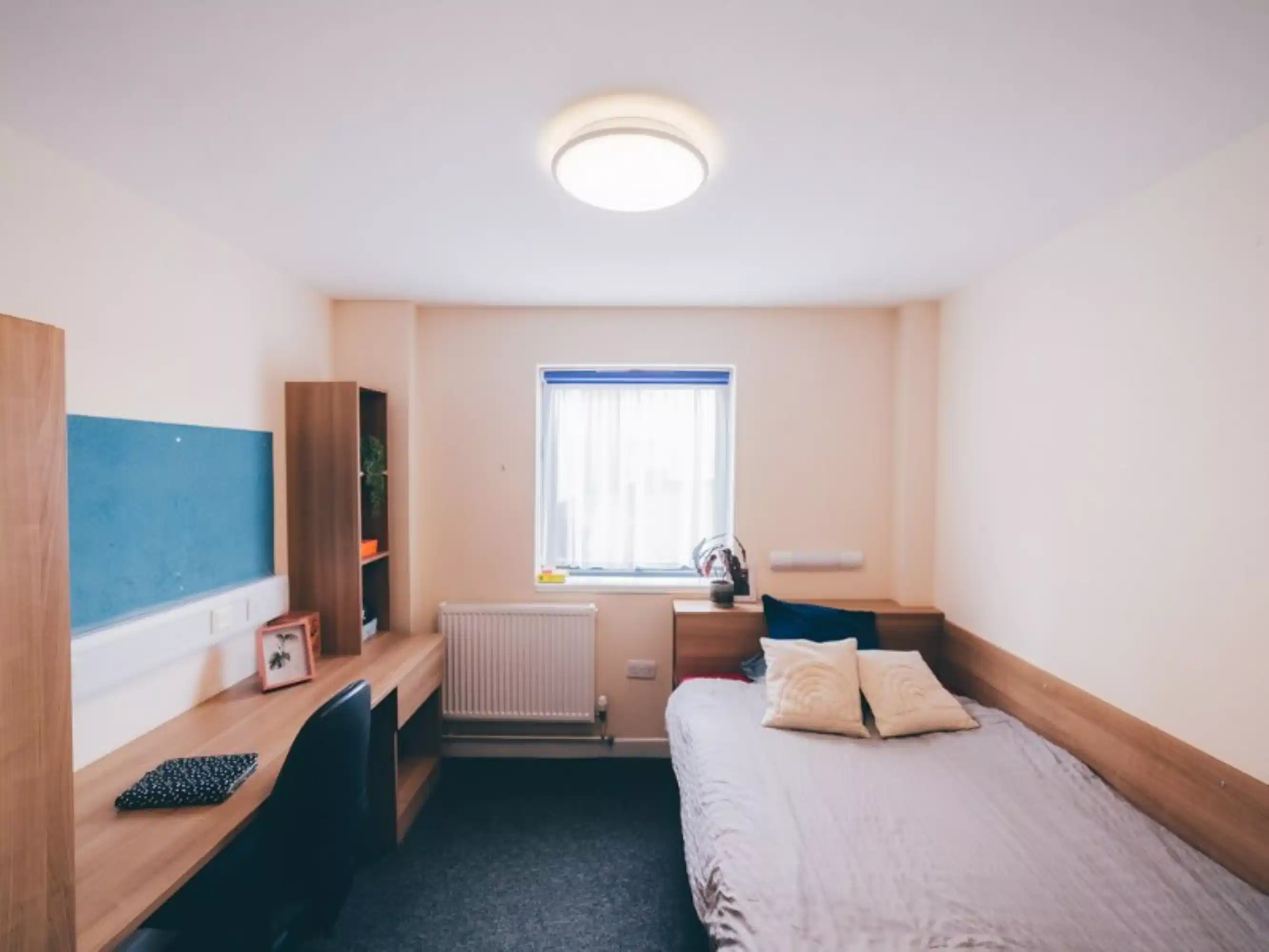 Premium Single Ensuite - Bedroom