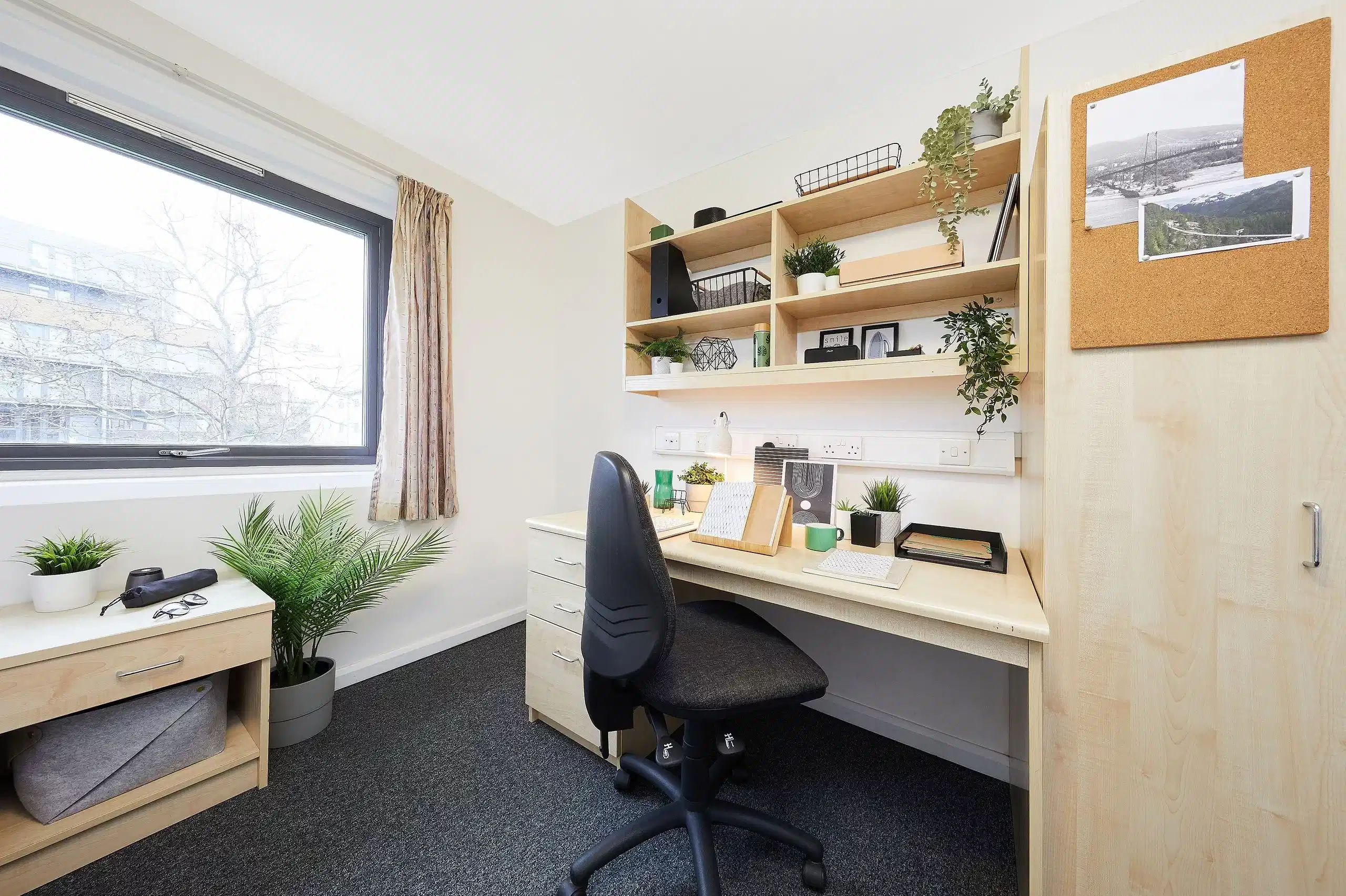 Single Ensuite Rooms - Amenities