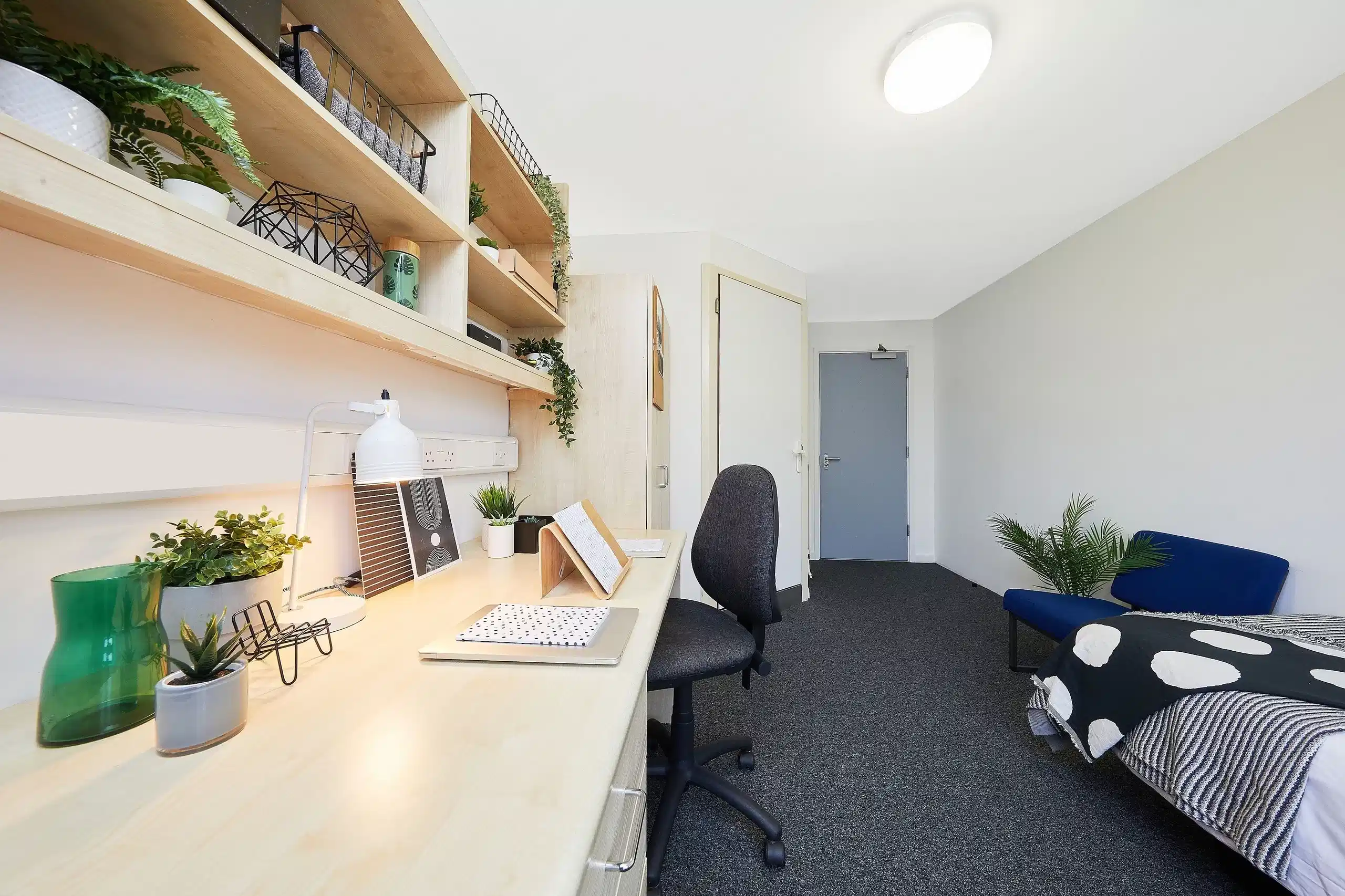 Single Ensuite Rooms - Amenities