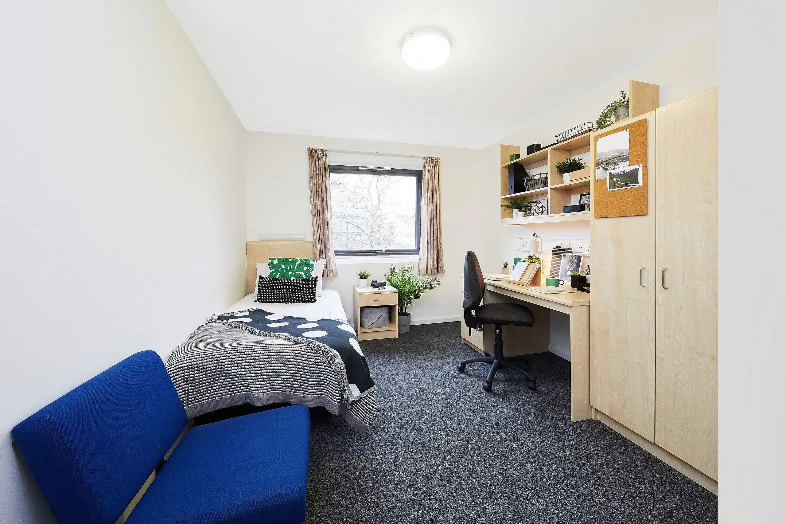 Single Ensuite Rooms - Bedroom
