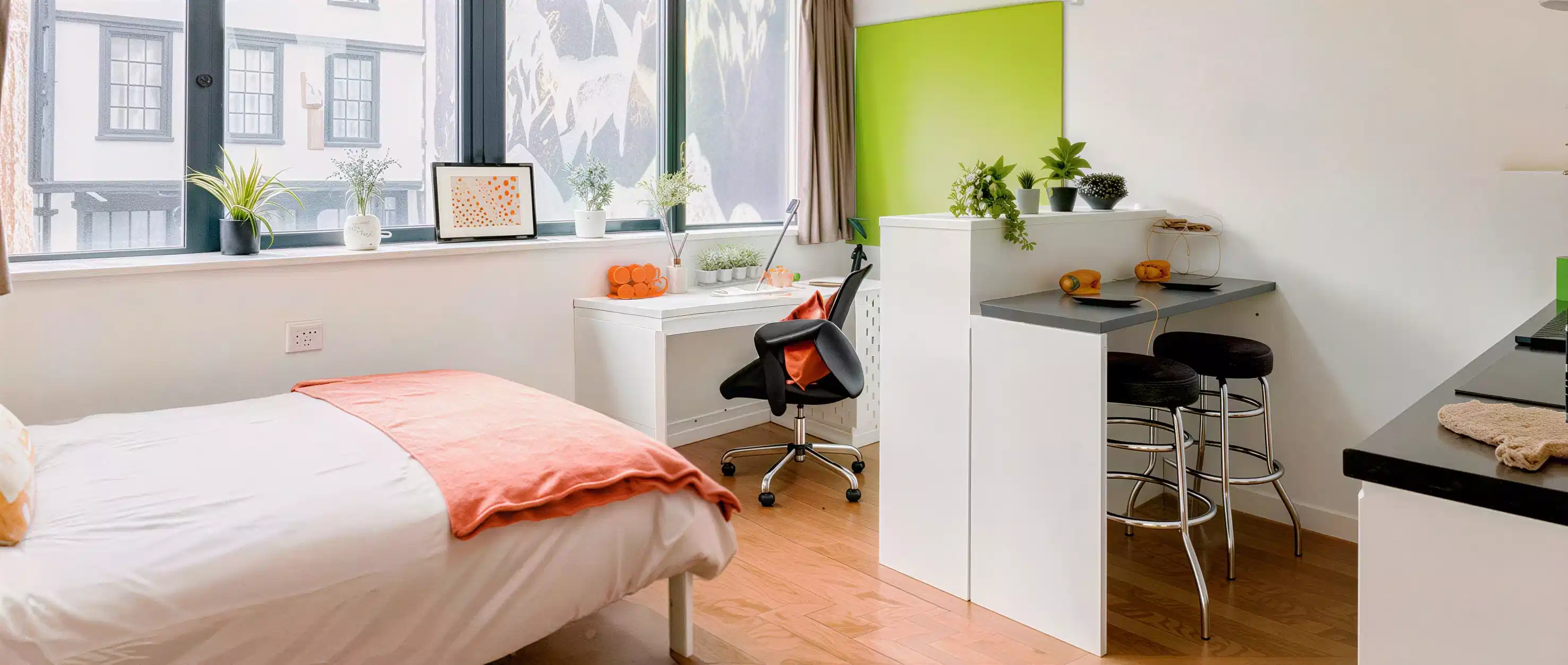 Deluxe Studio - Amenities