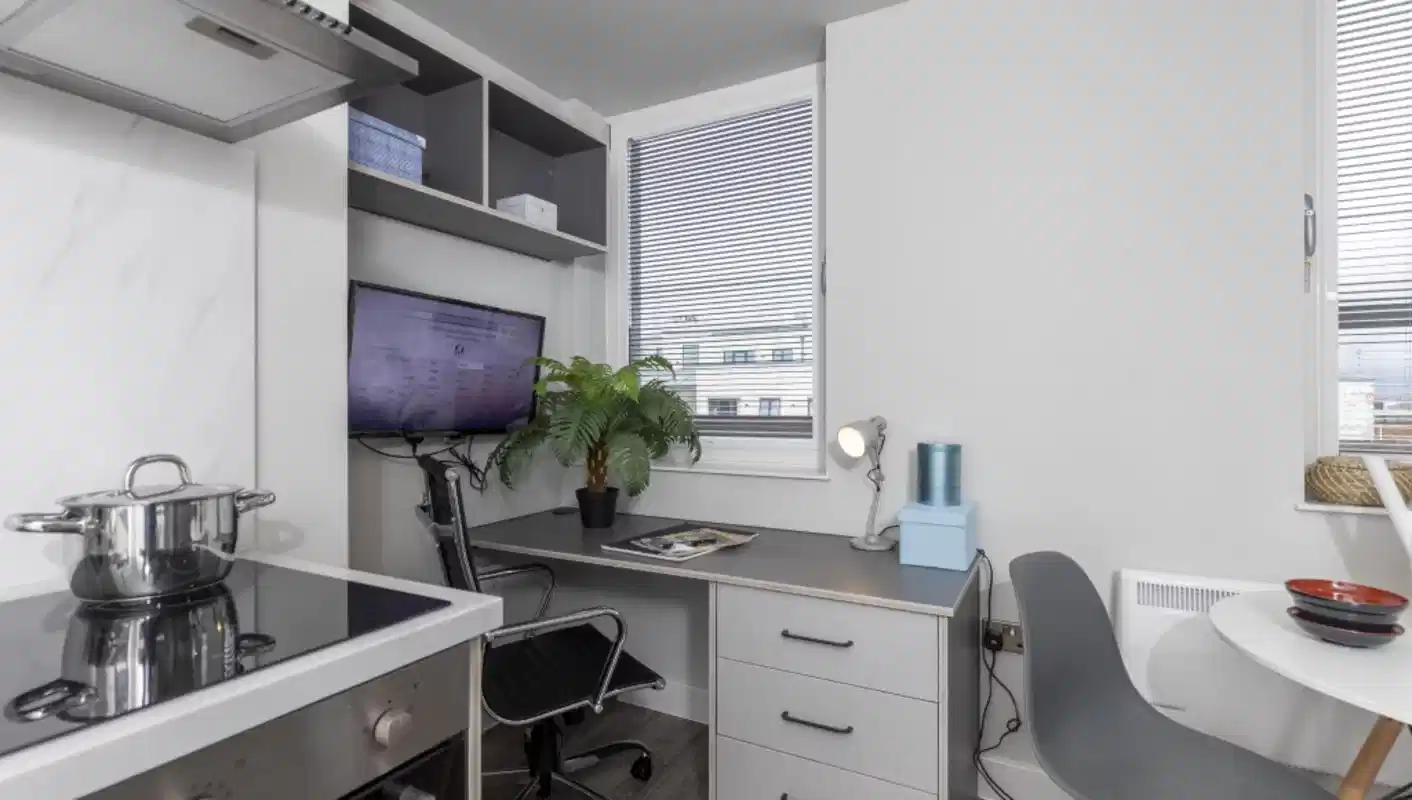 Super Large Premier Studio - Kitchen