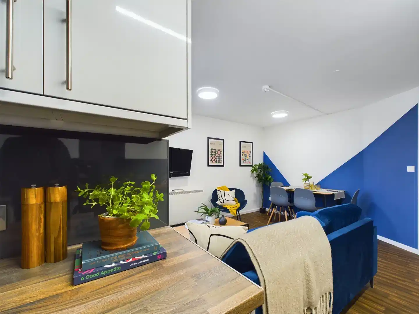 4 Bedroom House - Common Area