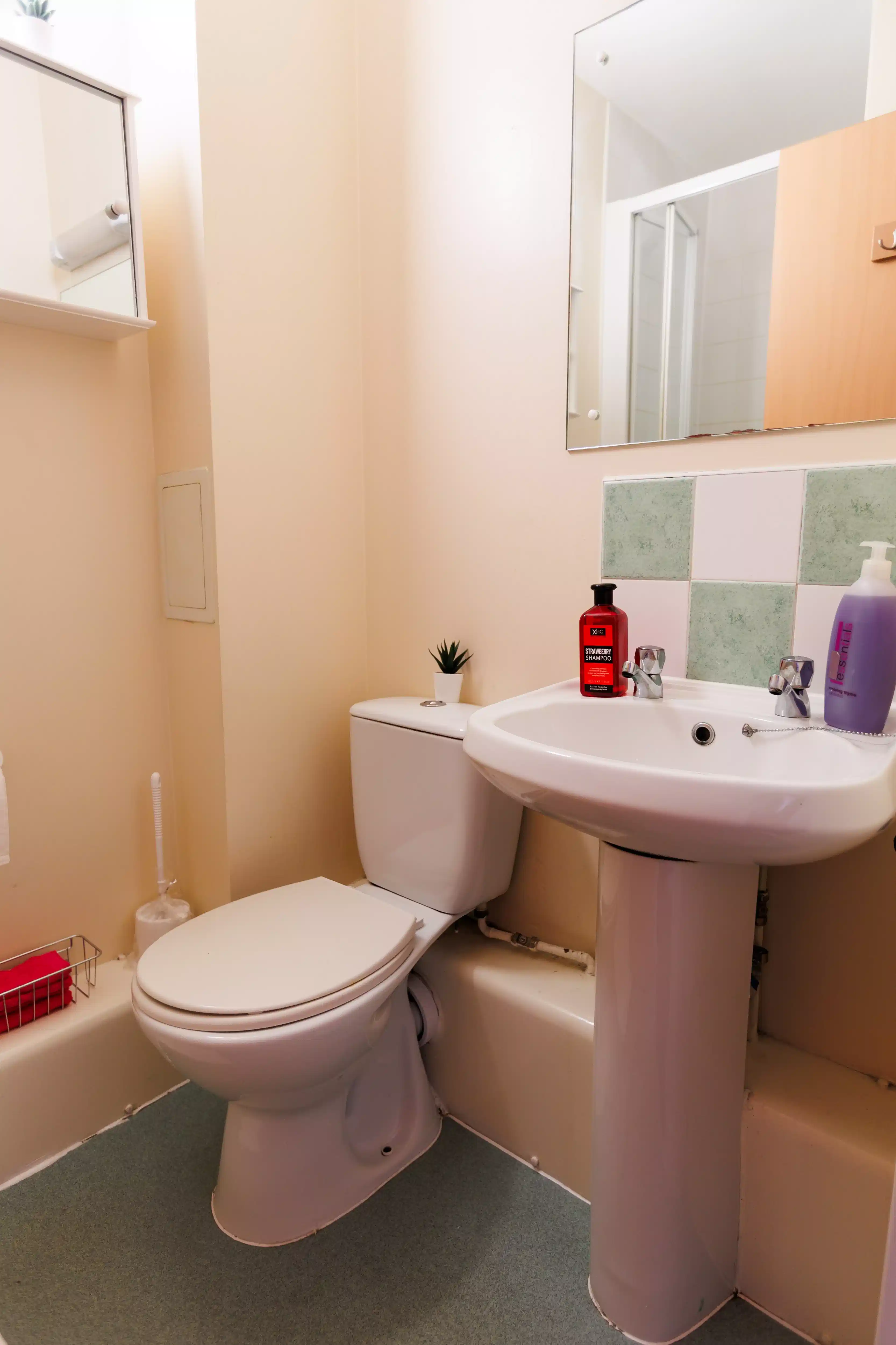 Bronze Standard En-Suite - Bathroom