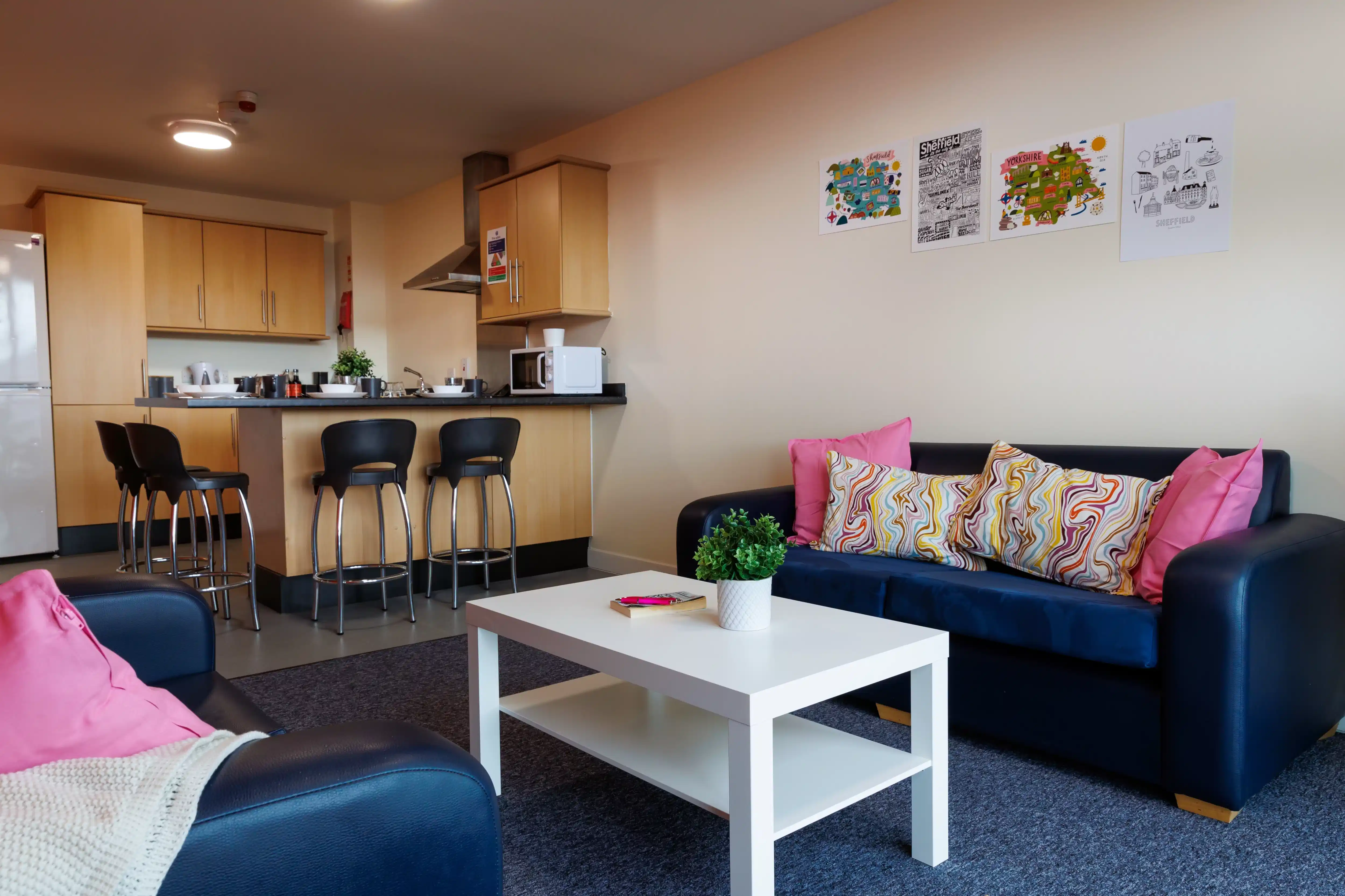 Essential Single En-Suite - Common Area