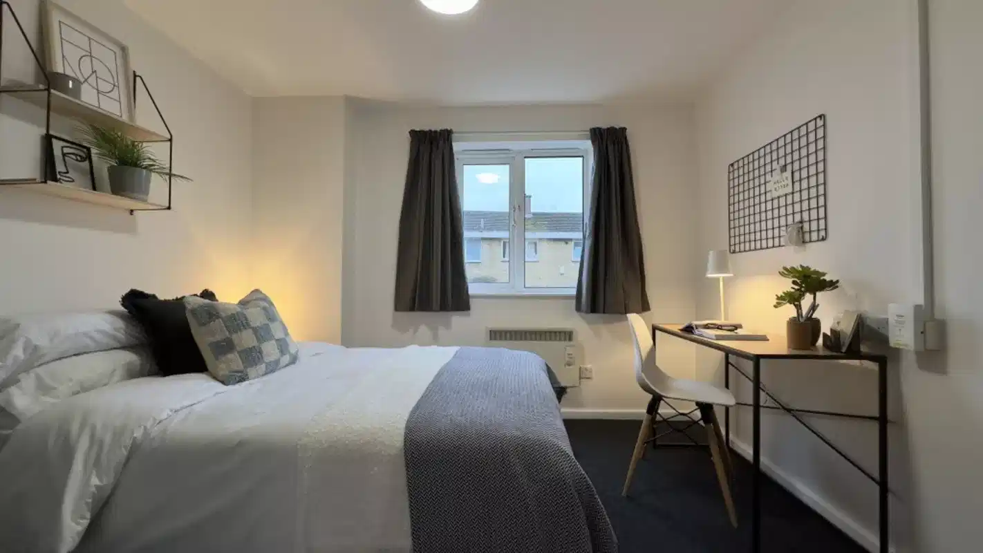 3 Bedroom House - Bedroom
