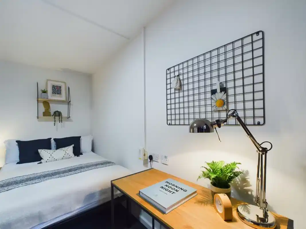 3 Bedroom House - Bedroom
