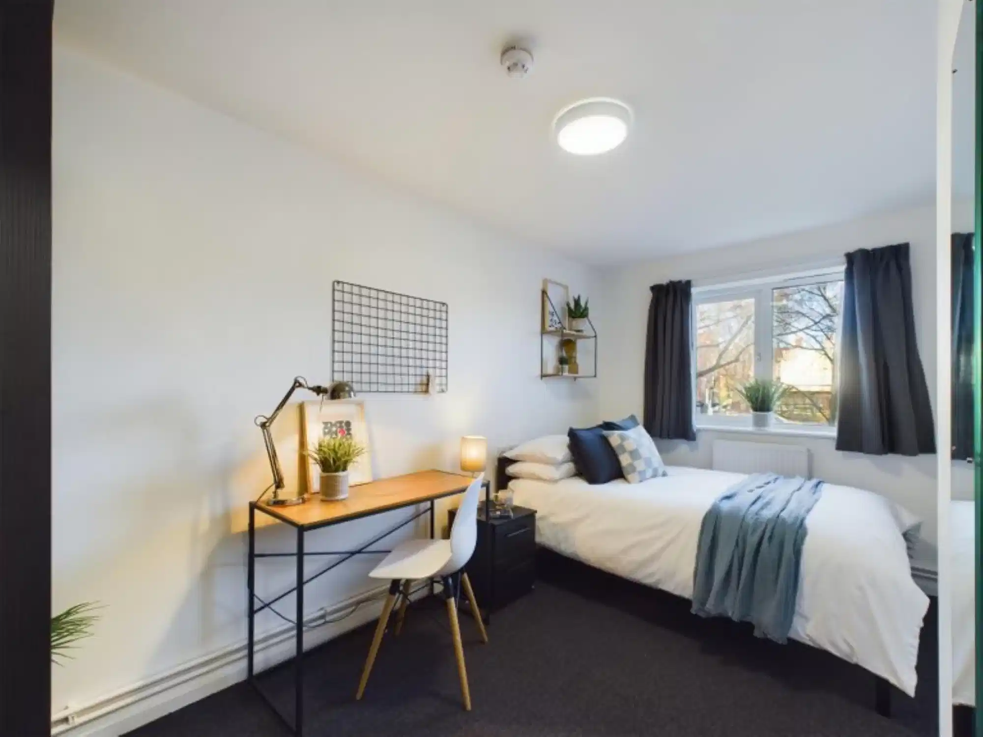 3 Bedroom House - Bedroom