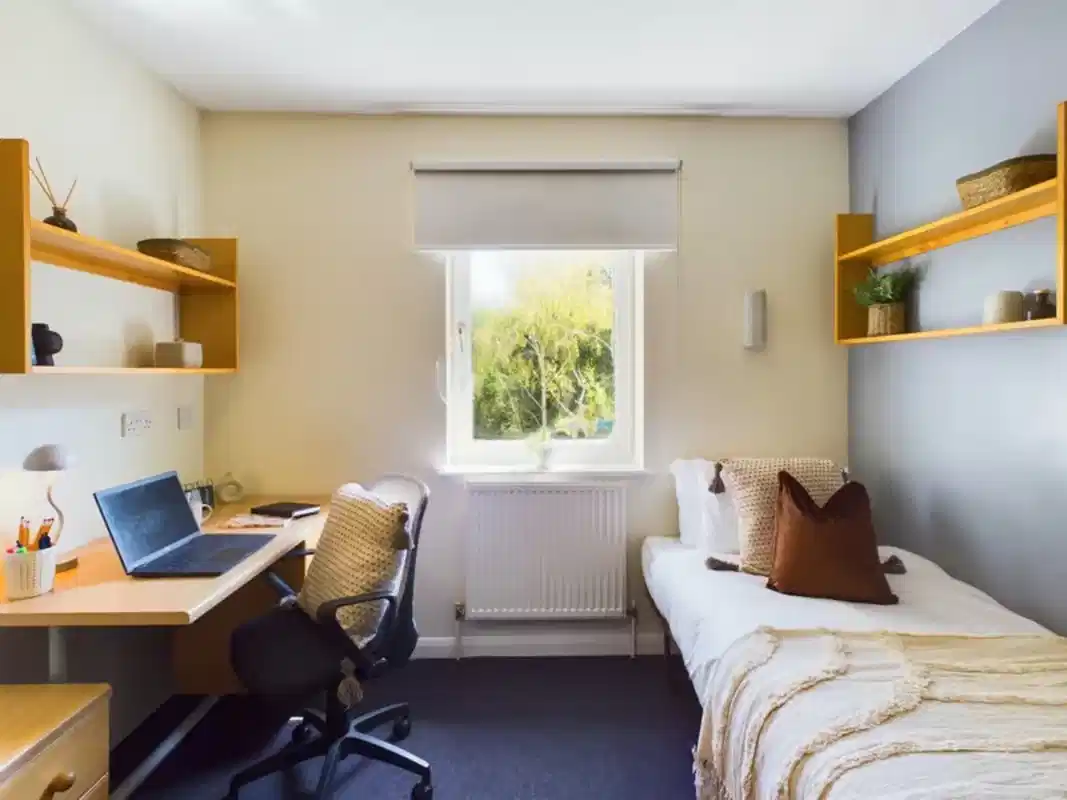 Classic Room - Bedroom