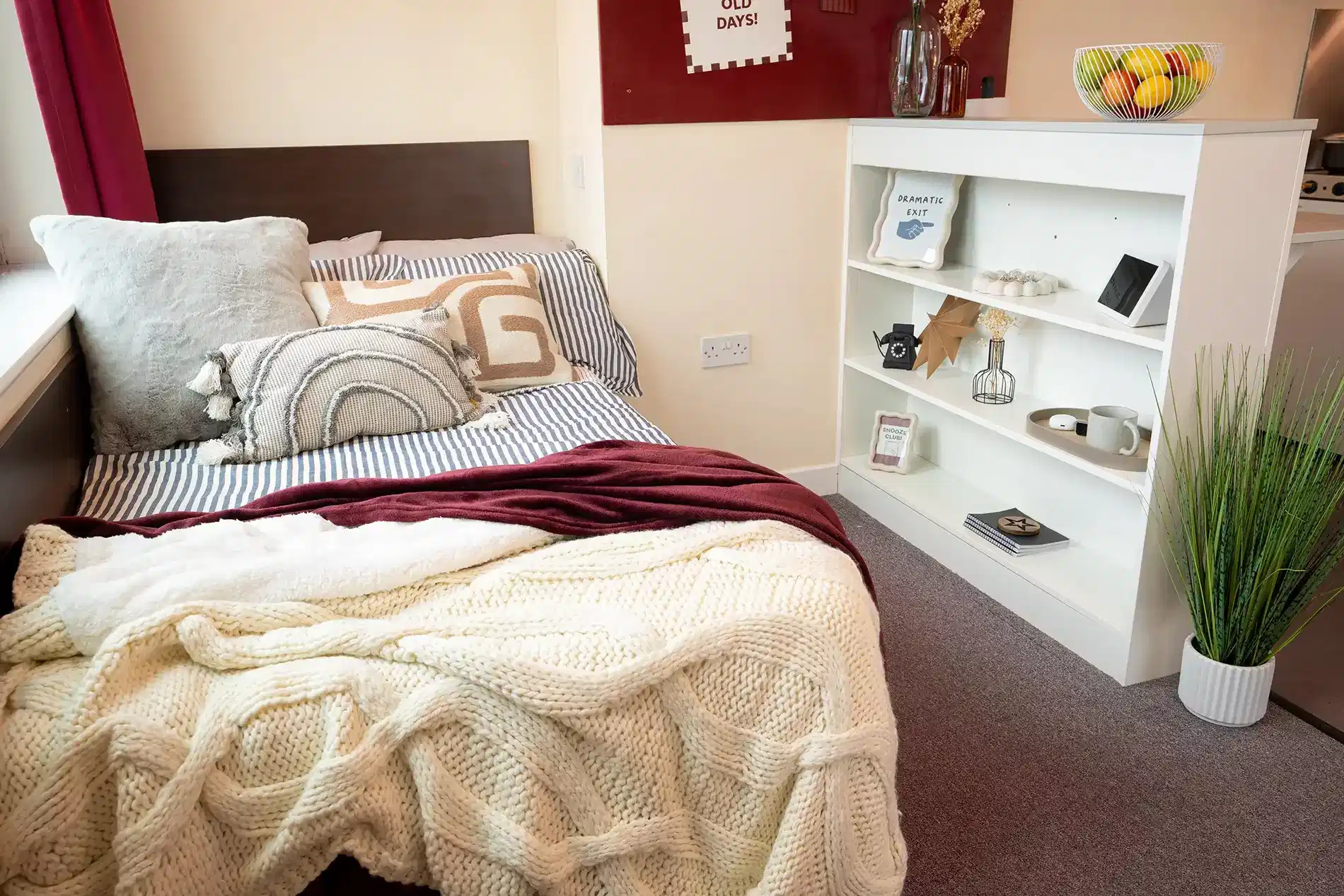 Deluxe Student Studio Apartments - Bedroom