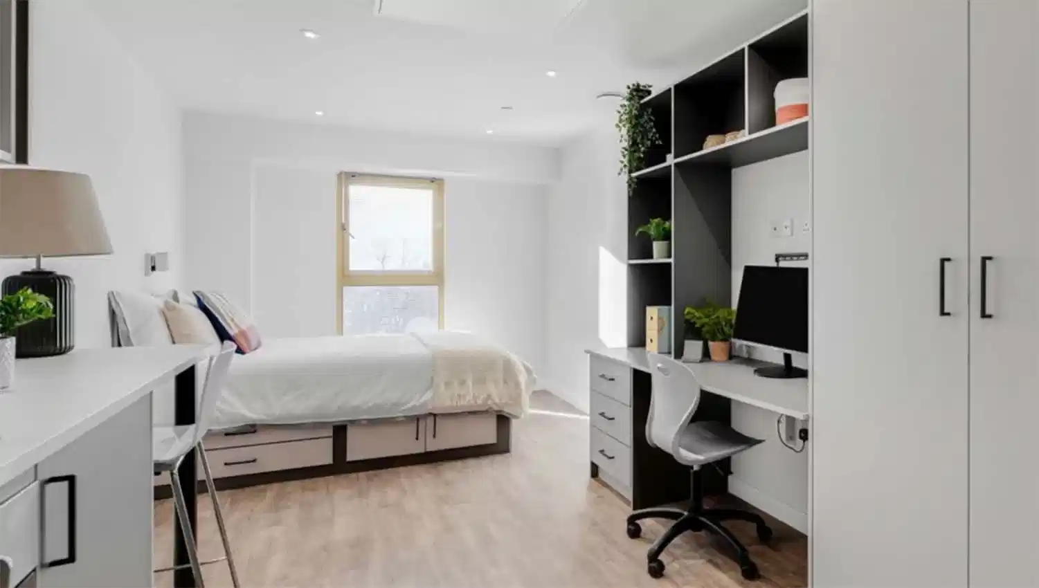 Premier Studio - Bedroom