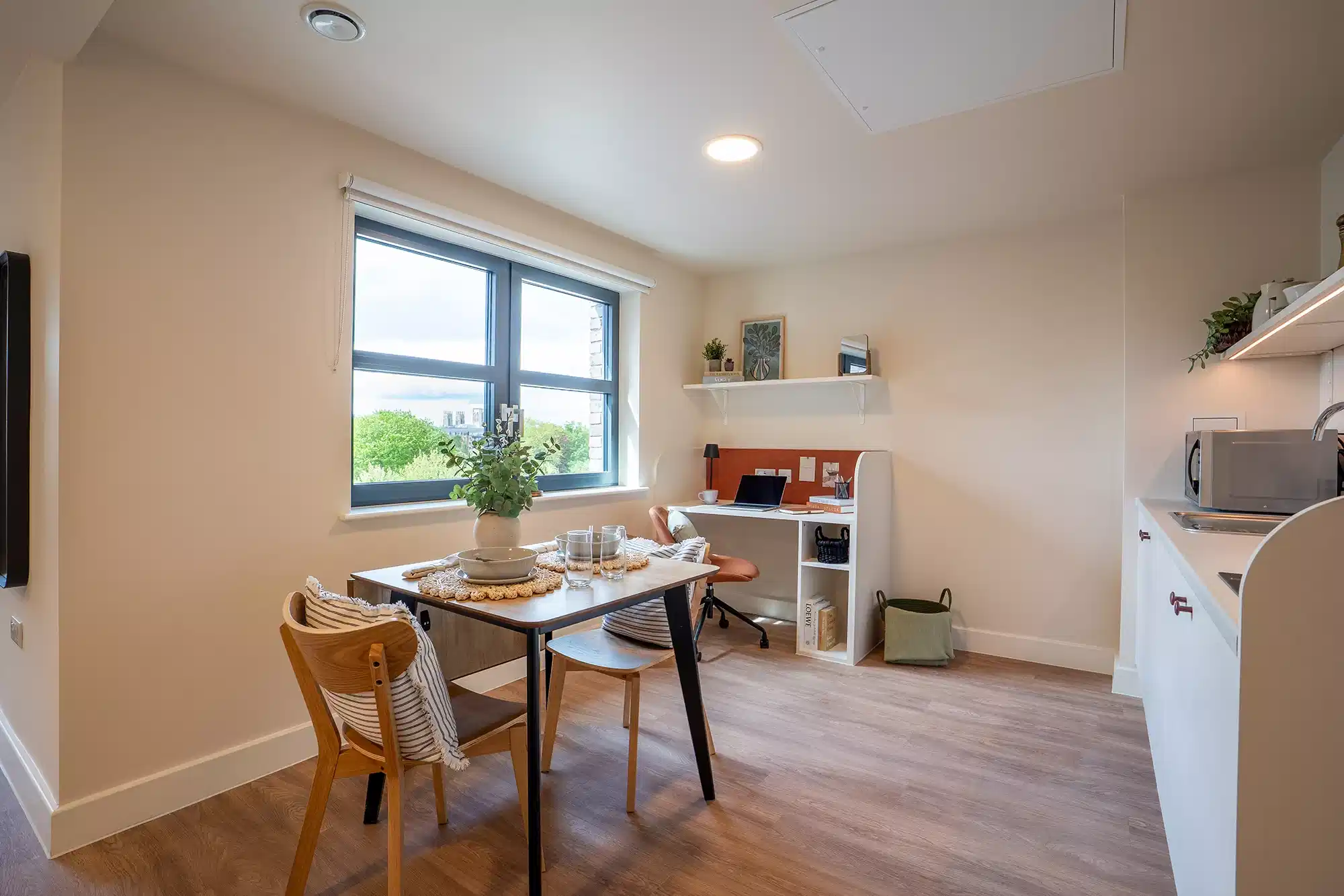Deluxe Studio - Kitchen