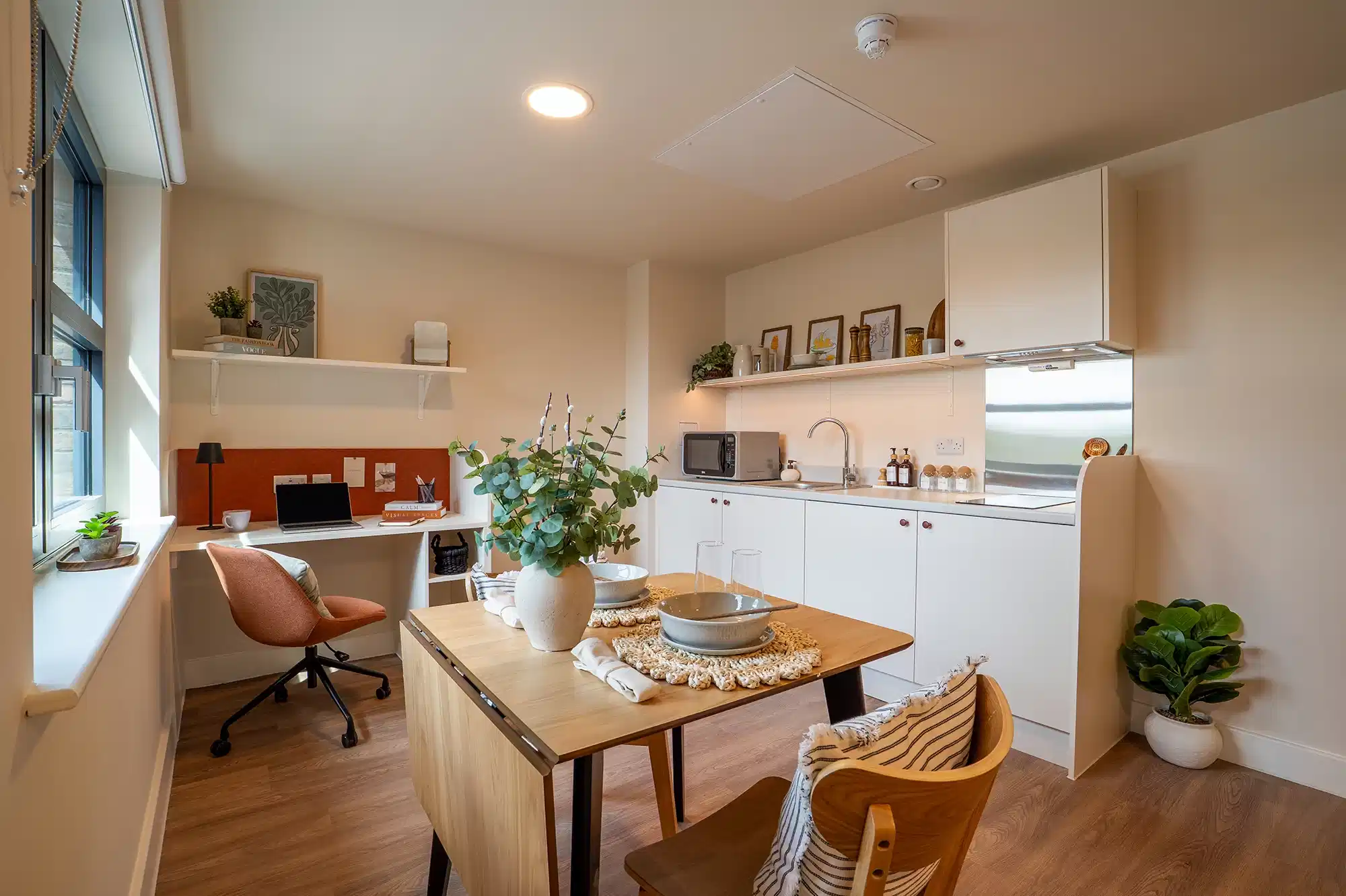 Deluxe Studio - Kitchen