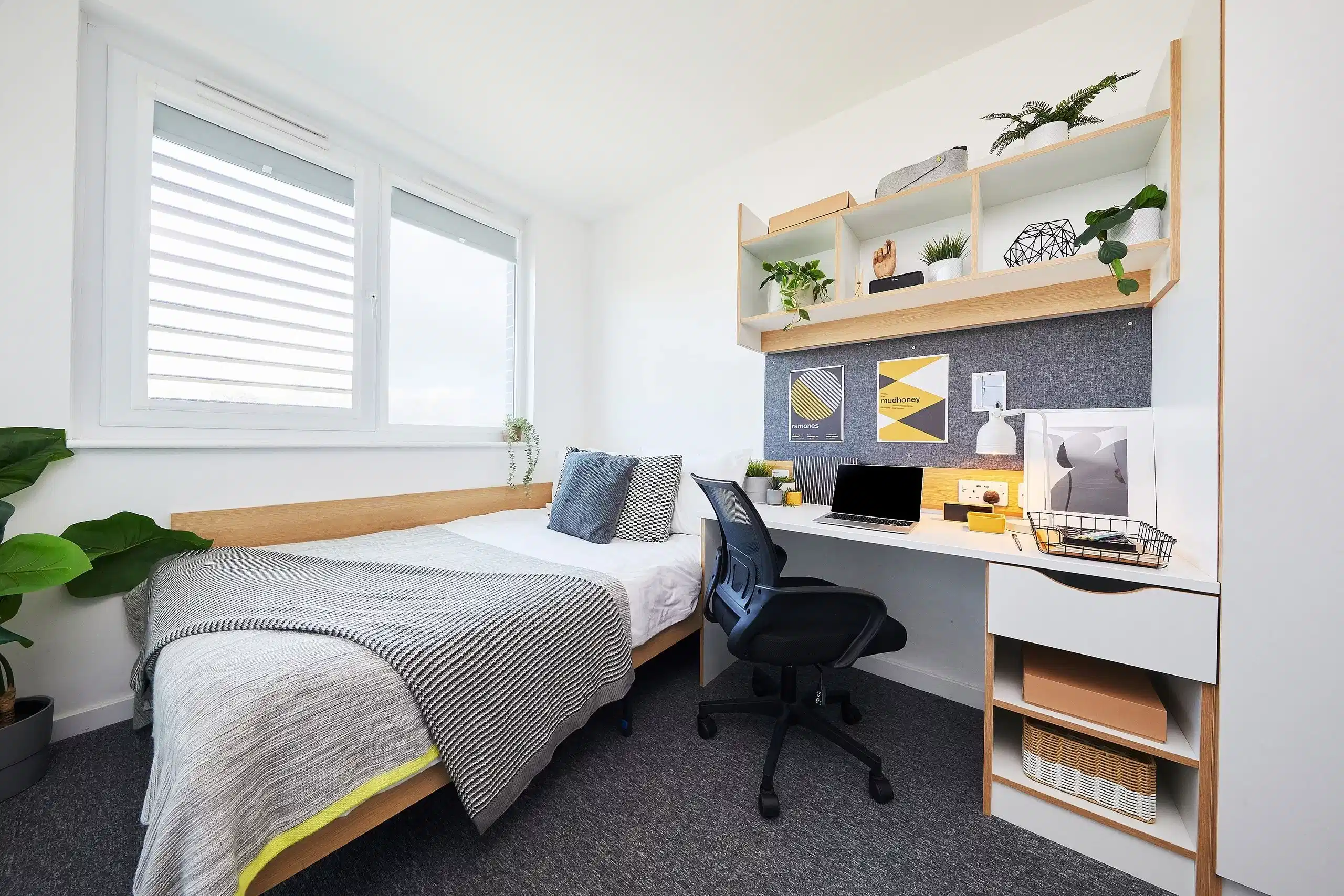 Premium Single Studio - Bedroom