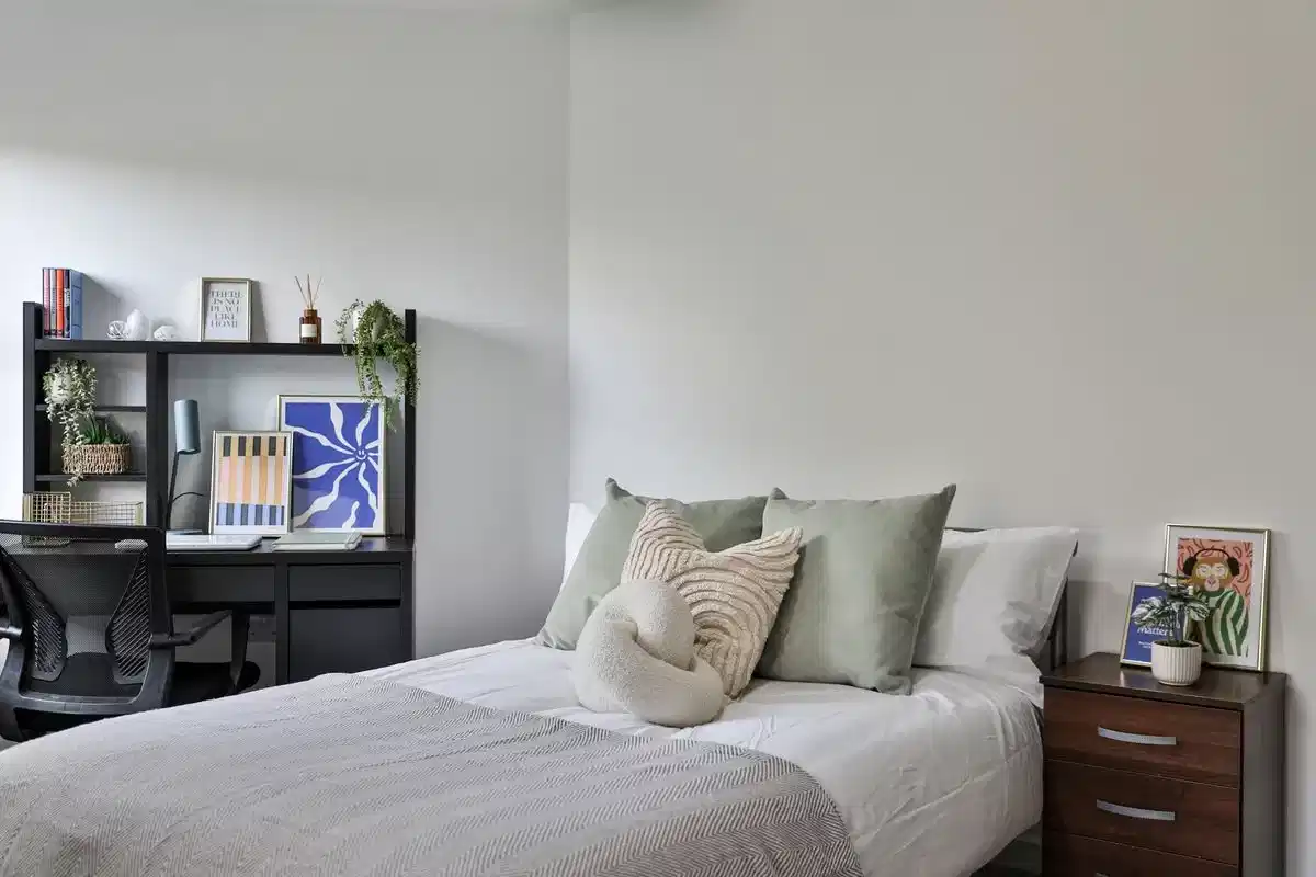 Basic Shared Dublex - Bedroom